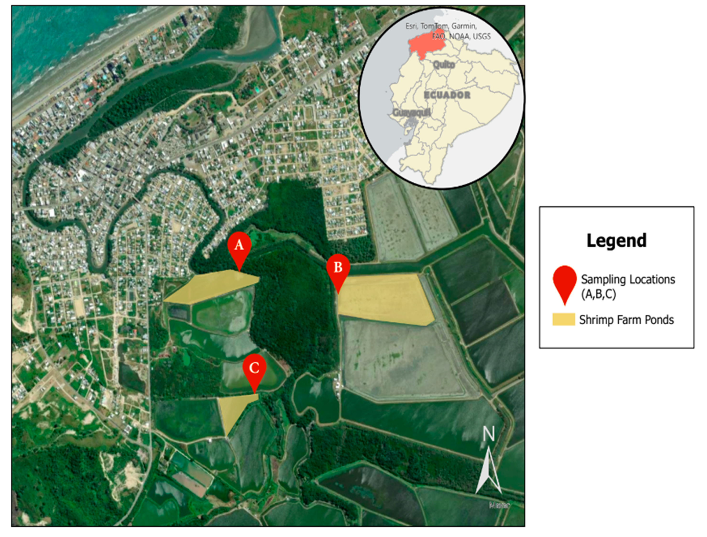 Antibiotics 13 00825 g001