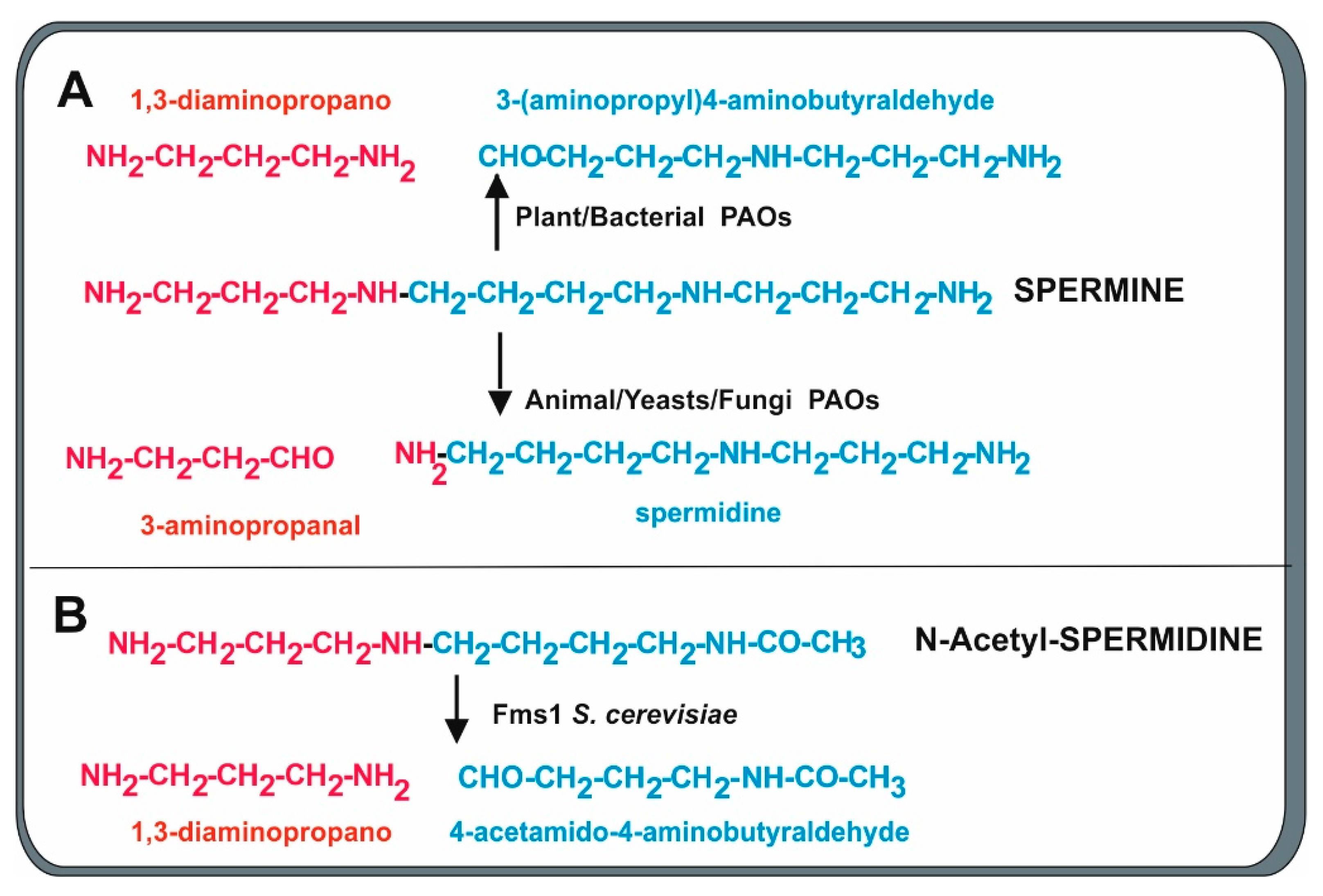 Antibiotics 13 00826 g004 Antibiotics 13 00826 g004
