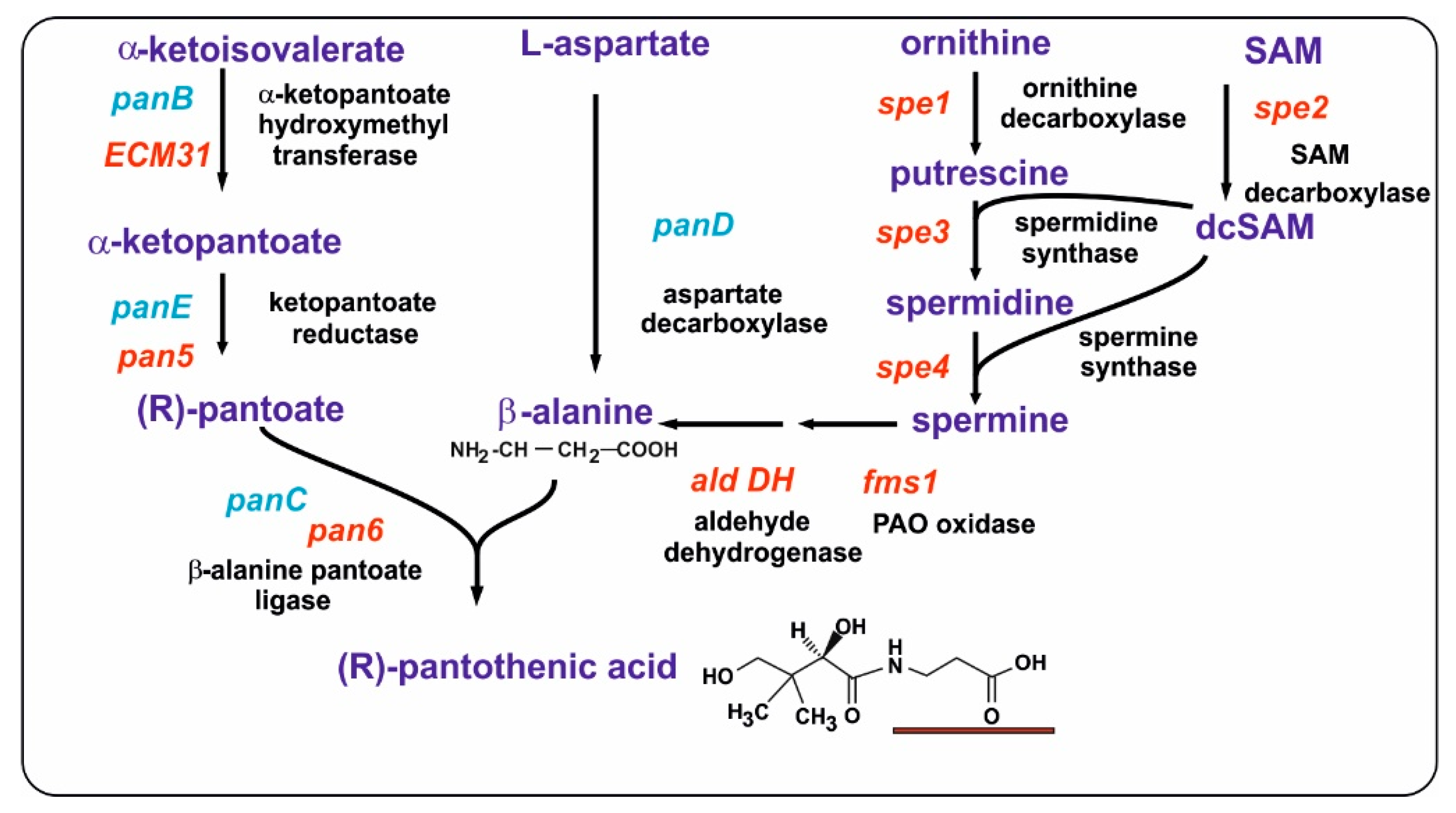 Antibiotics 13 00826 g005 Antibiotics 13 00826 g005