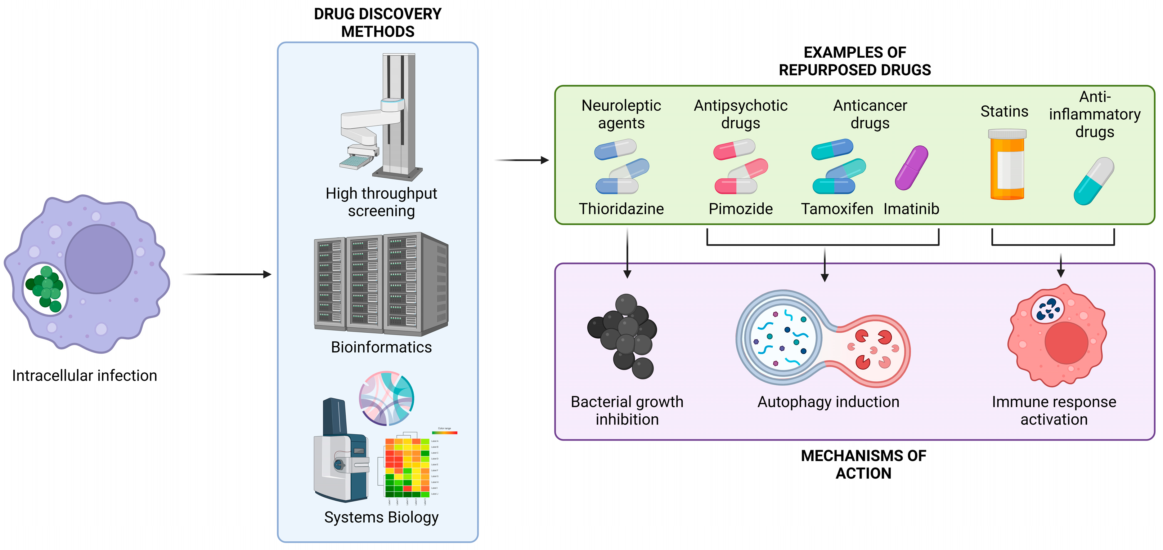 Antibiotics 13 00834 g001 Antibiotics 13 00834 g001