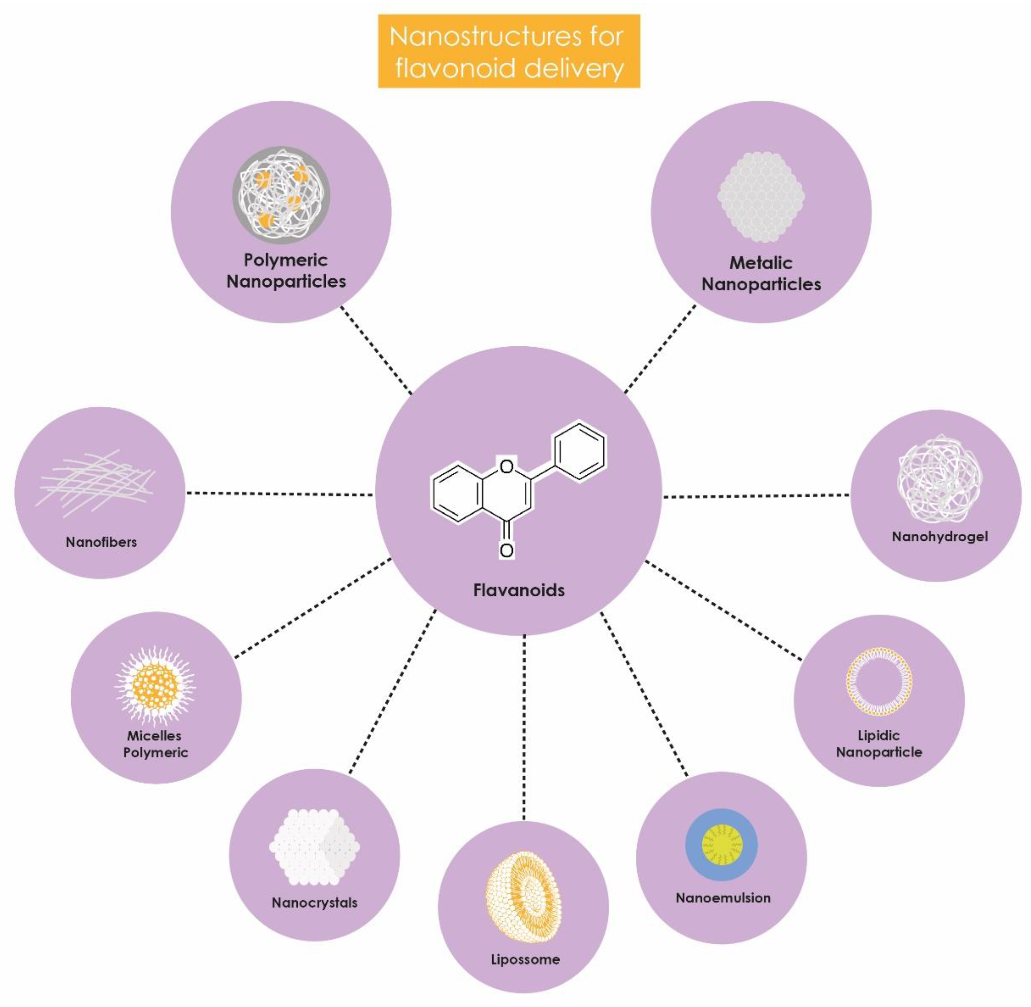 Antibiotics 13 00844 g002