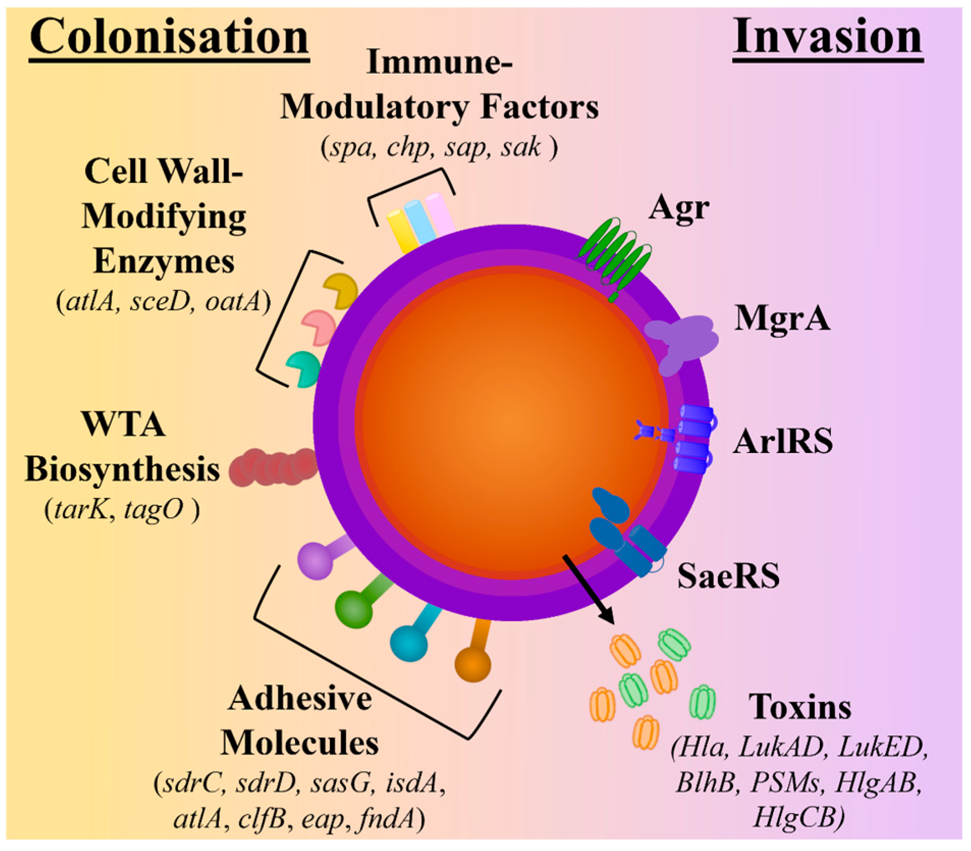 Antibiotics 13 00845 g001