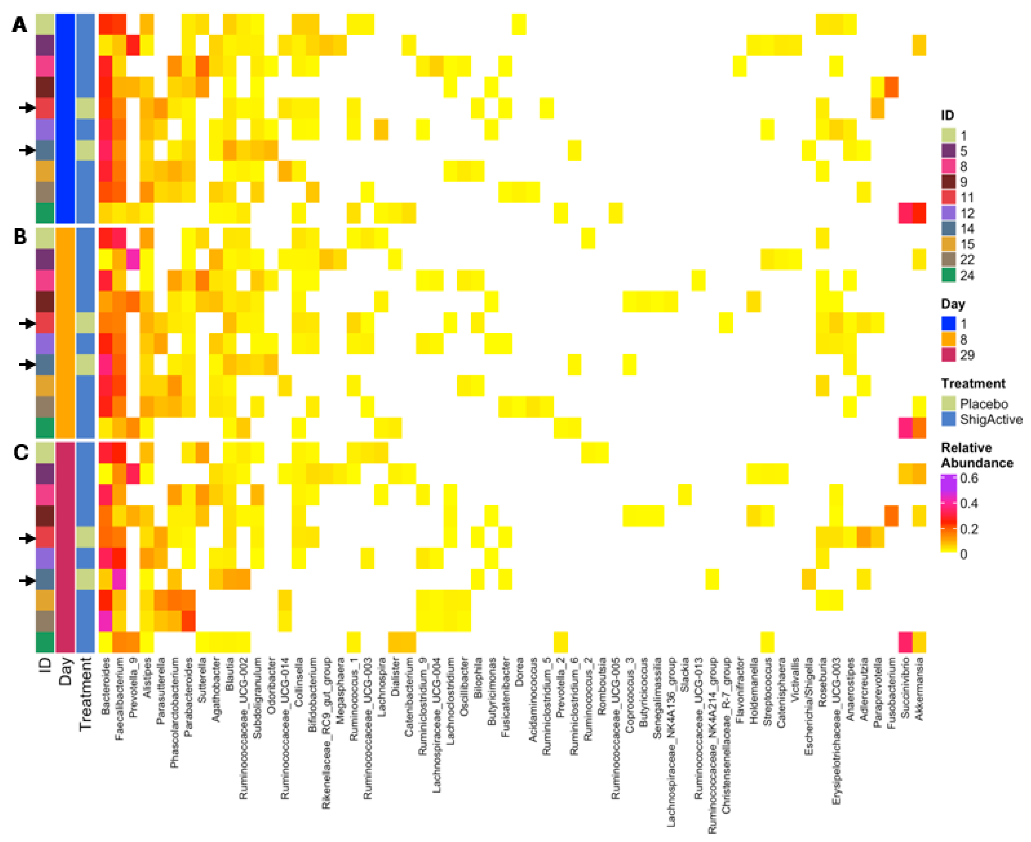 Antibiotics 13 00858 g008