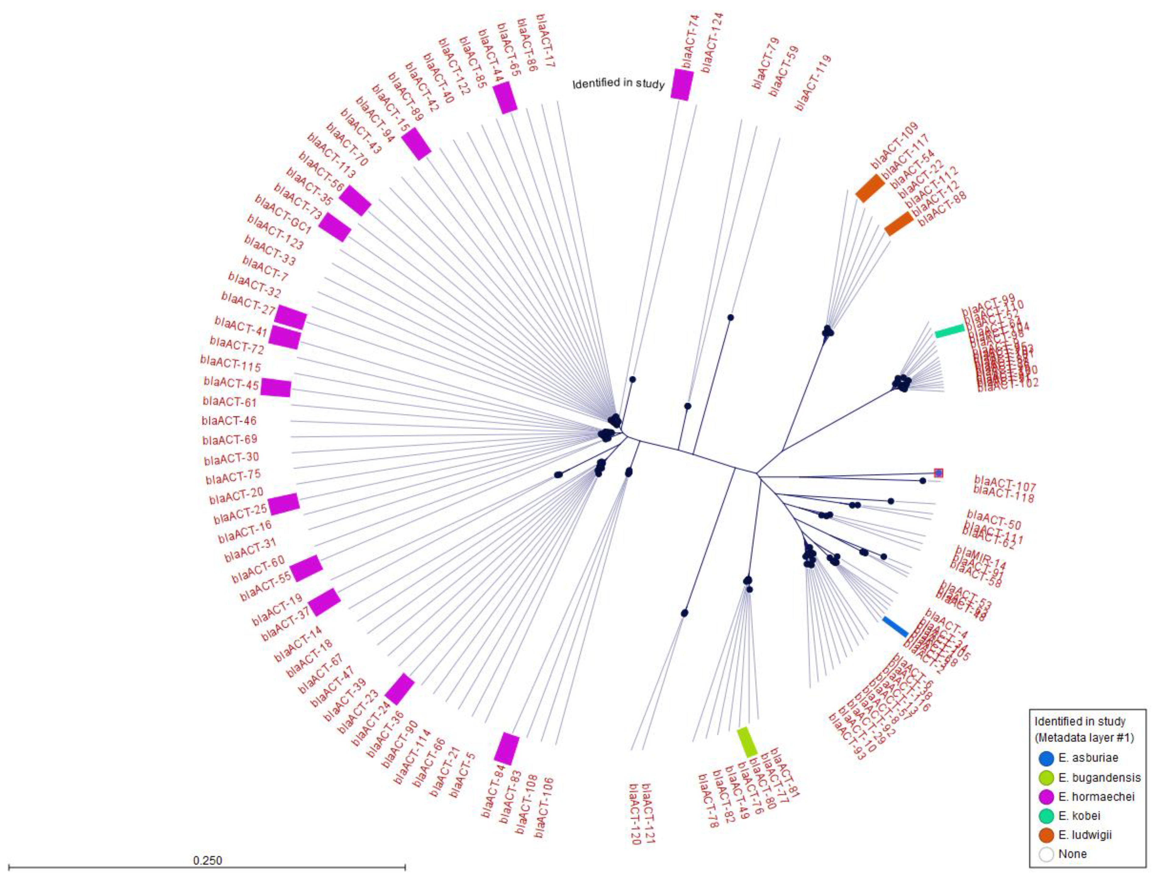 Antibiotics 13 00865 g003
