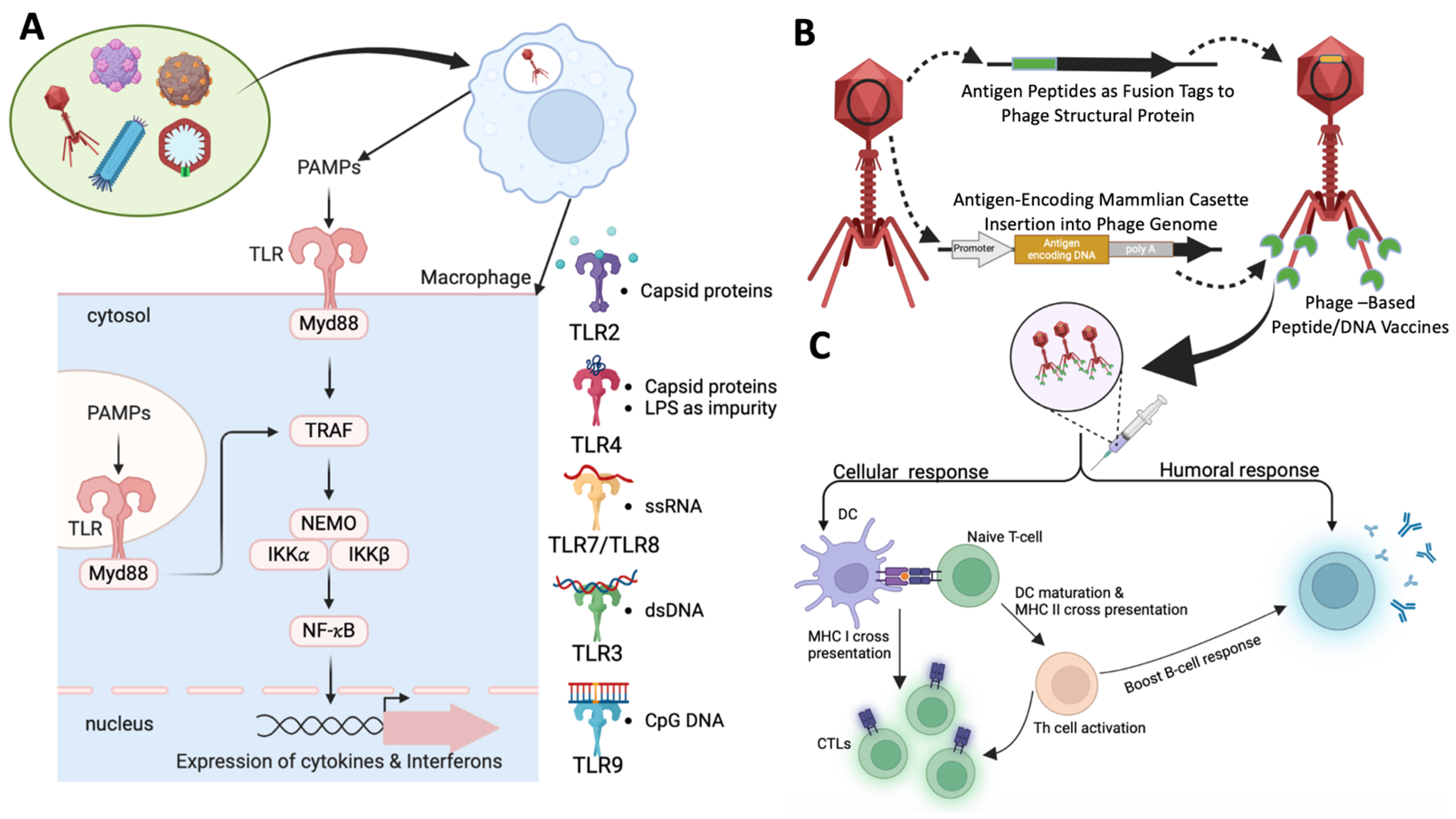 Antibiotics 13 00870 g003 Antibiotics 13 00870 g003