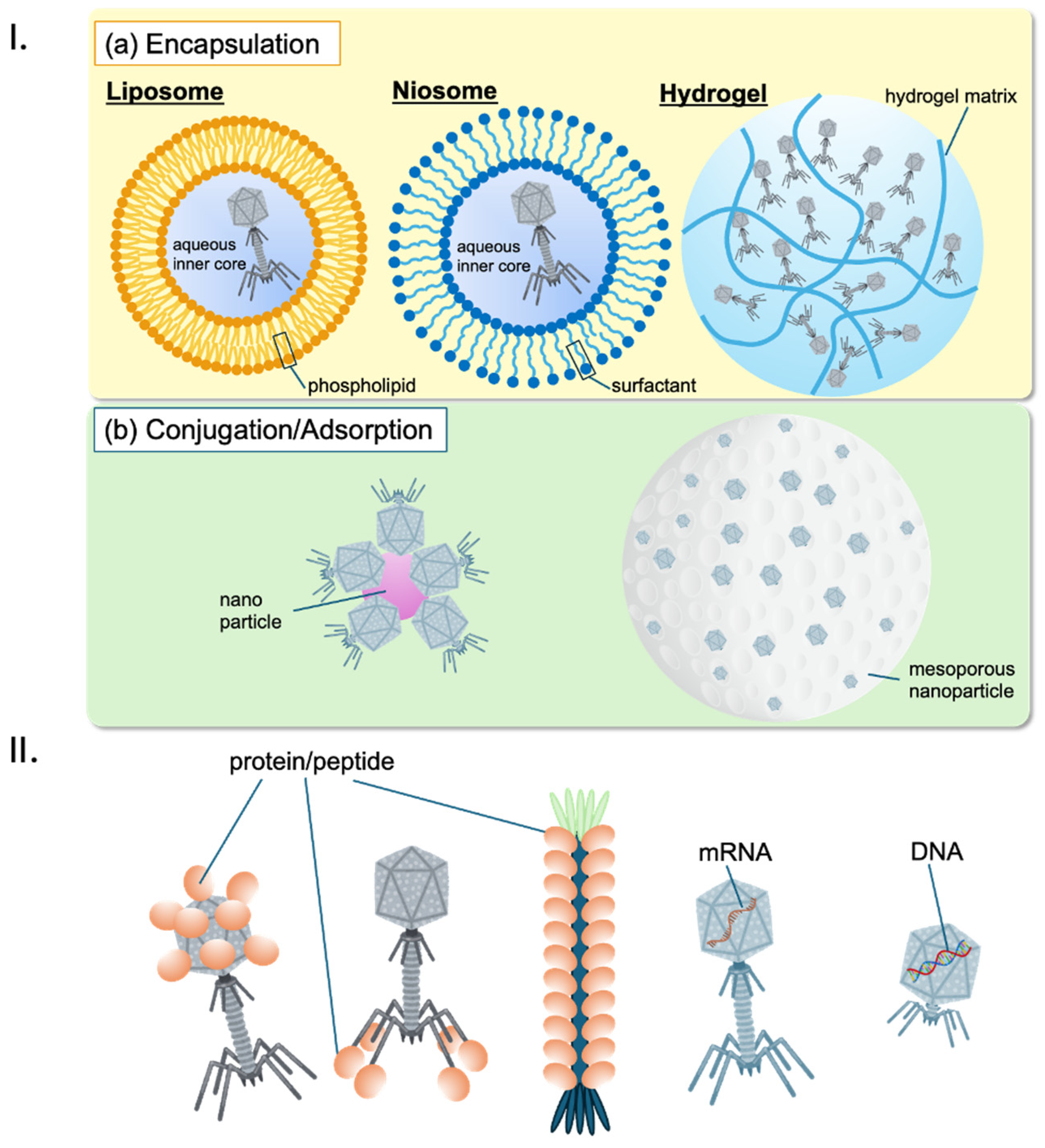 Antibiotics 13 00870 g004 Antibiotics 13 00870 g004