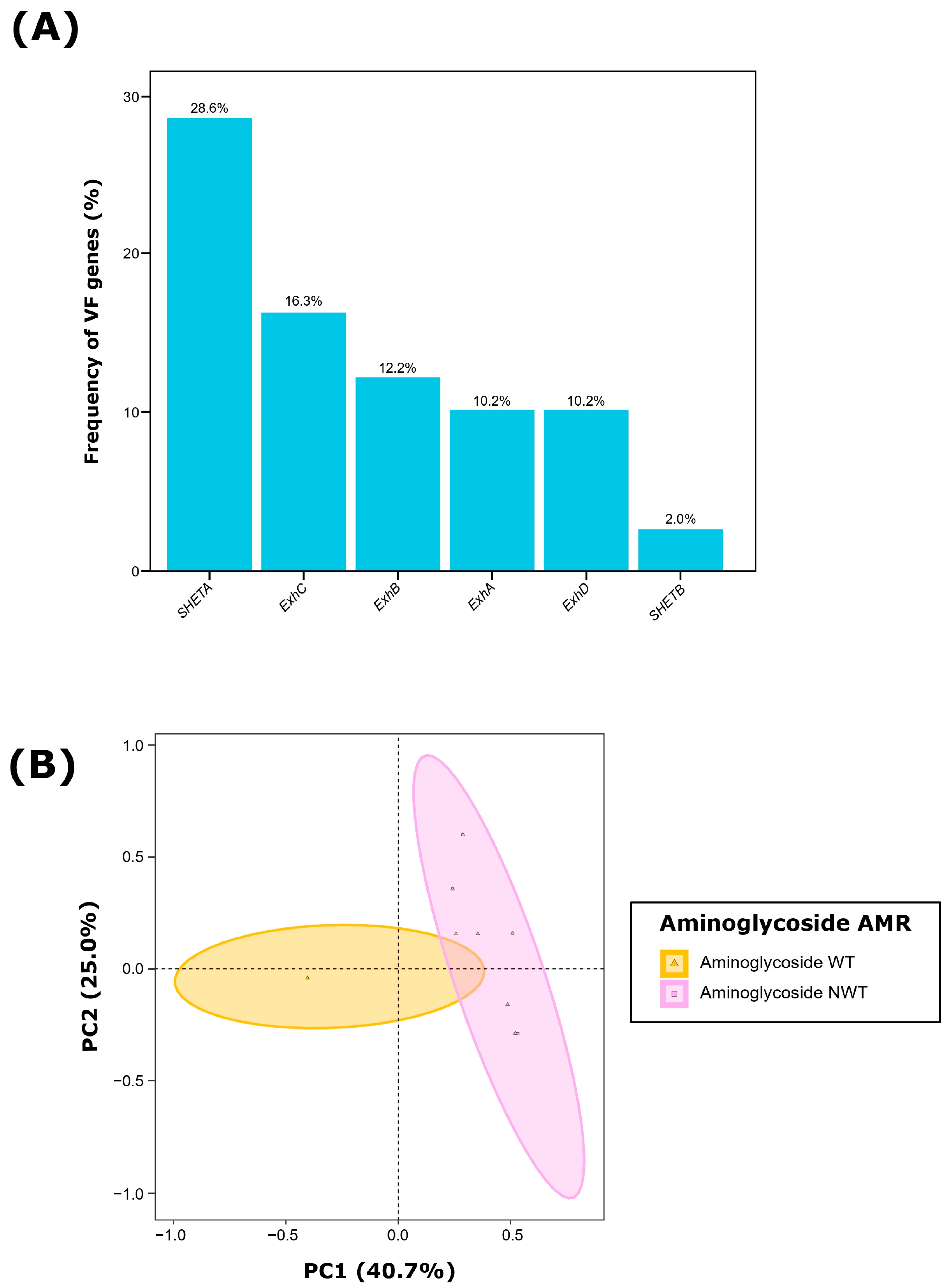 Antibiotics 13 00871 g001