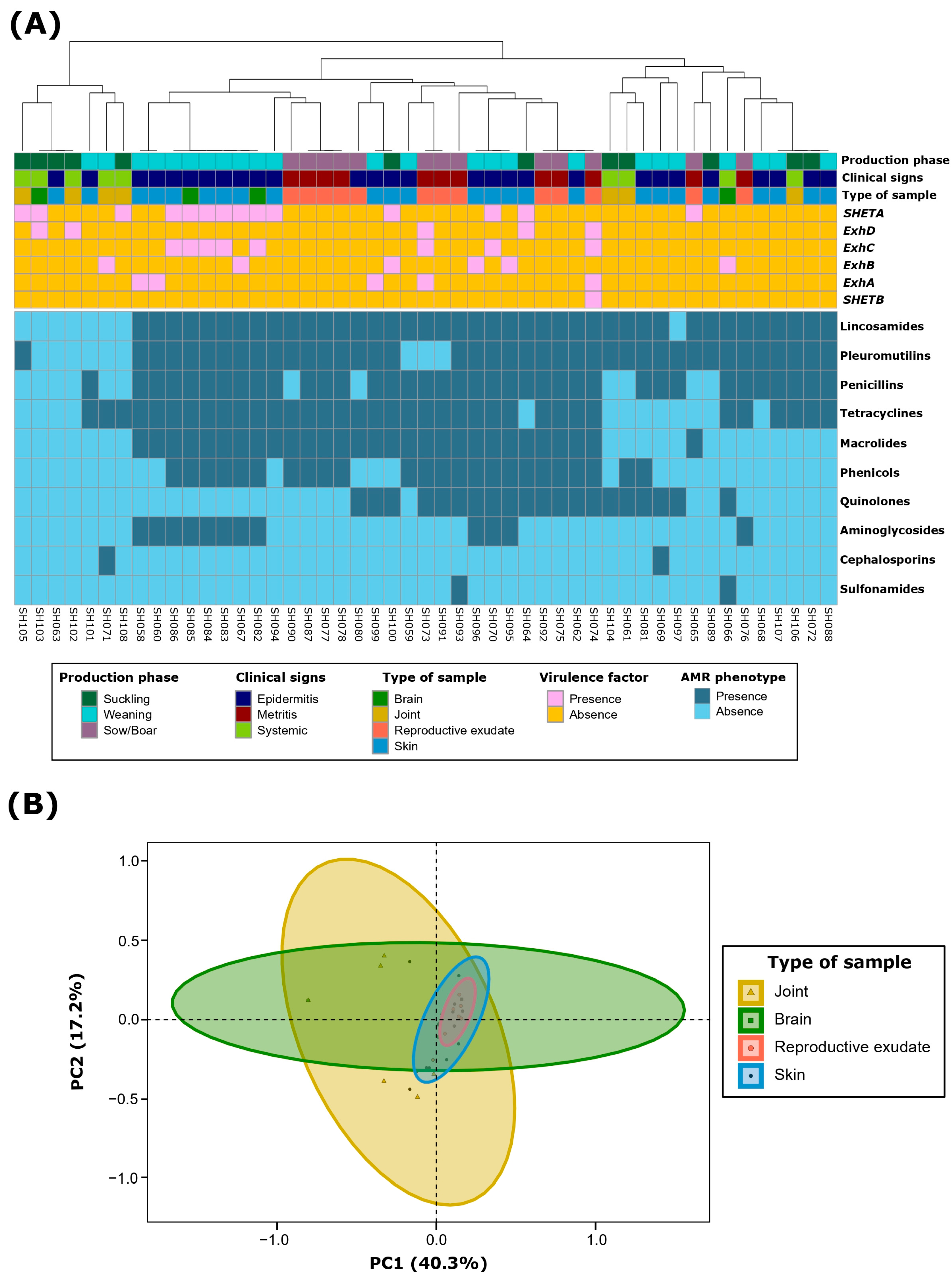 Antibiotics 13 00871 g002