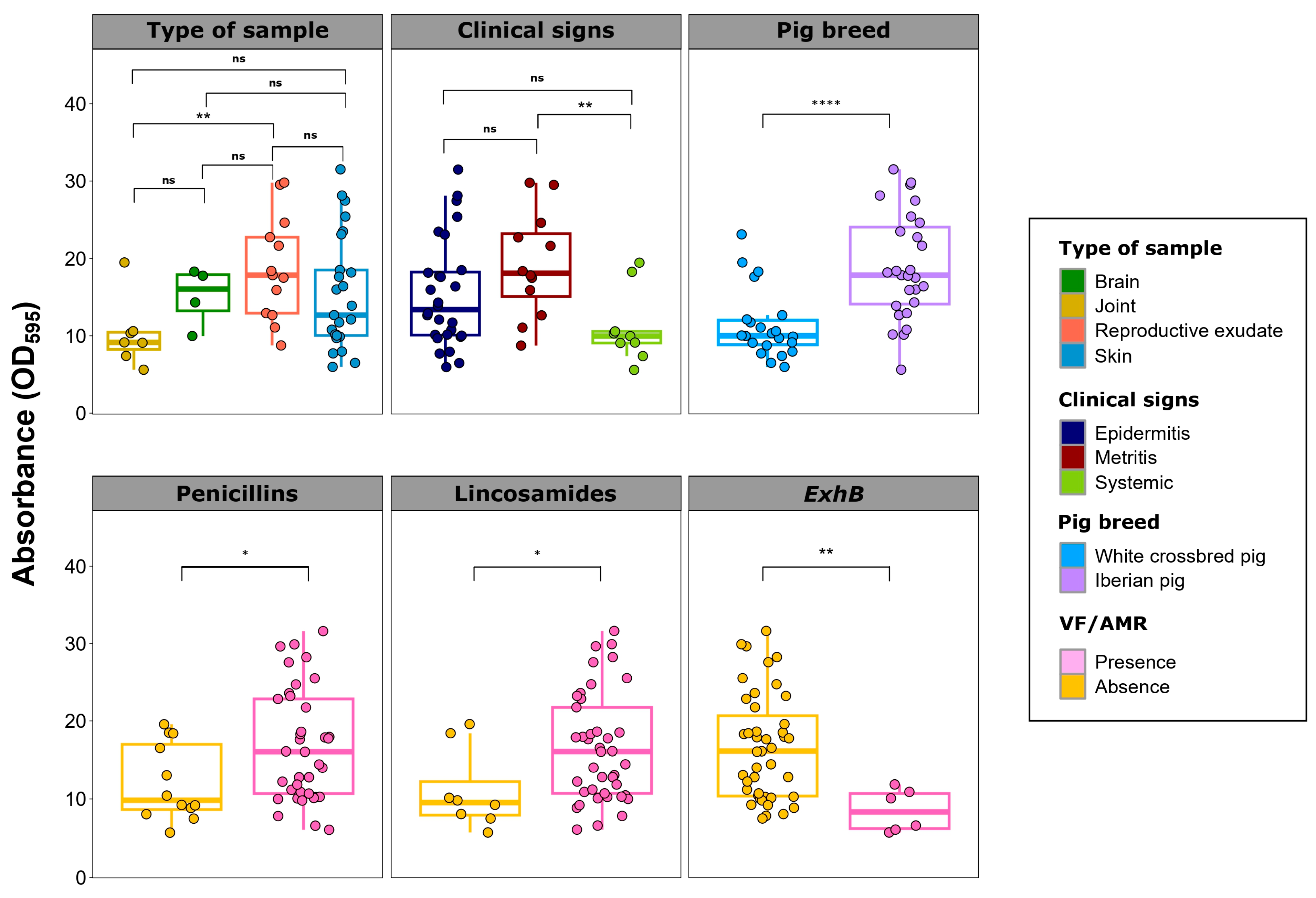 Antibiotics 13 00871 g004