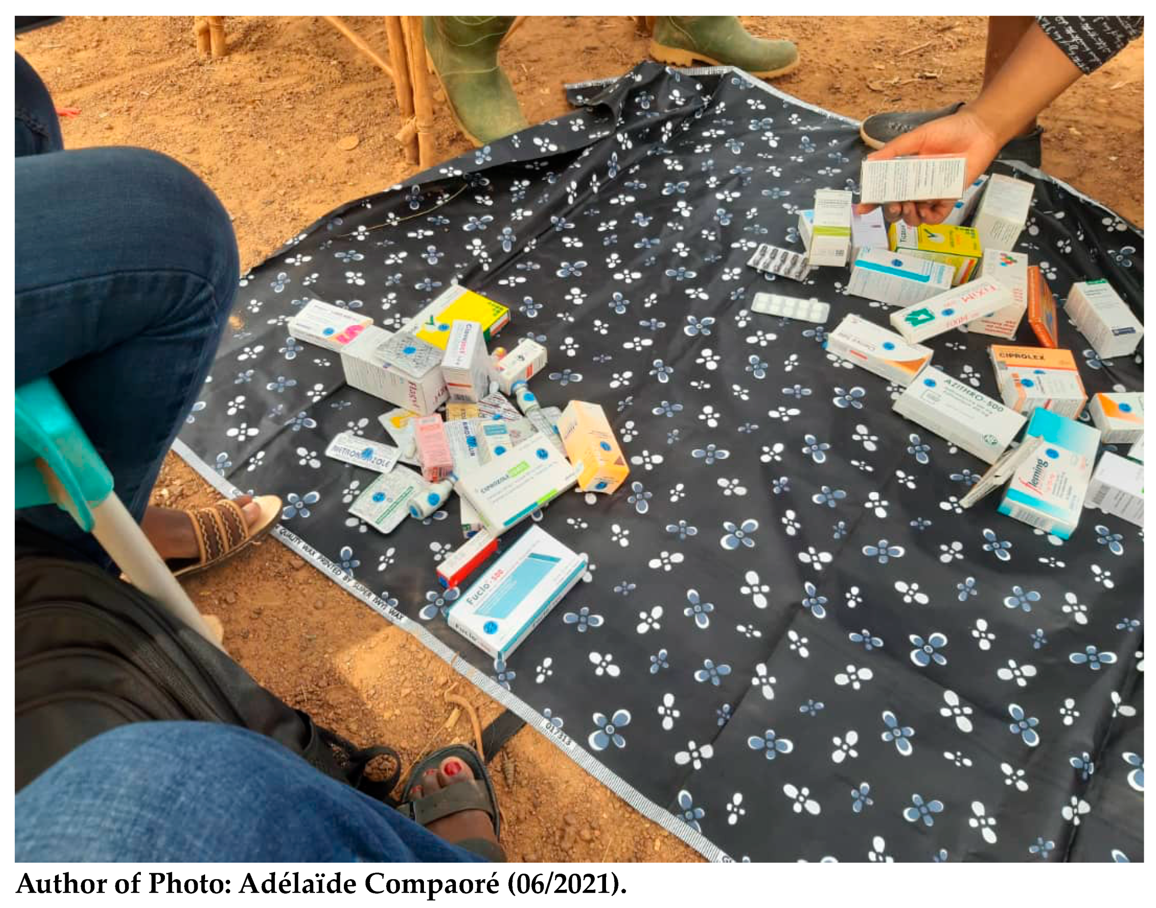 Antibiotics 13 00872 g004