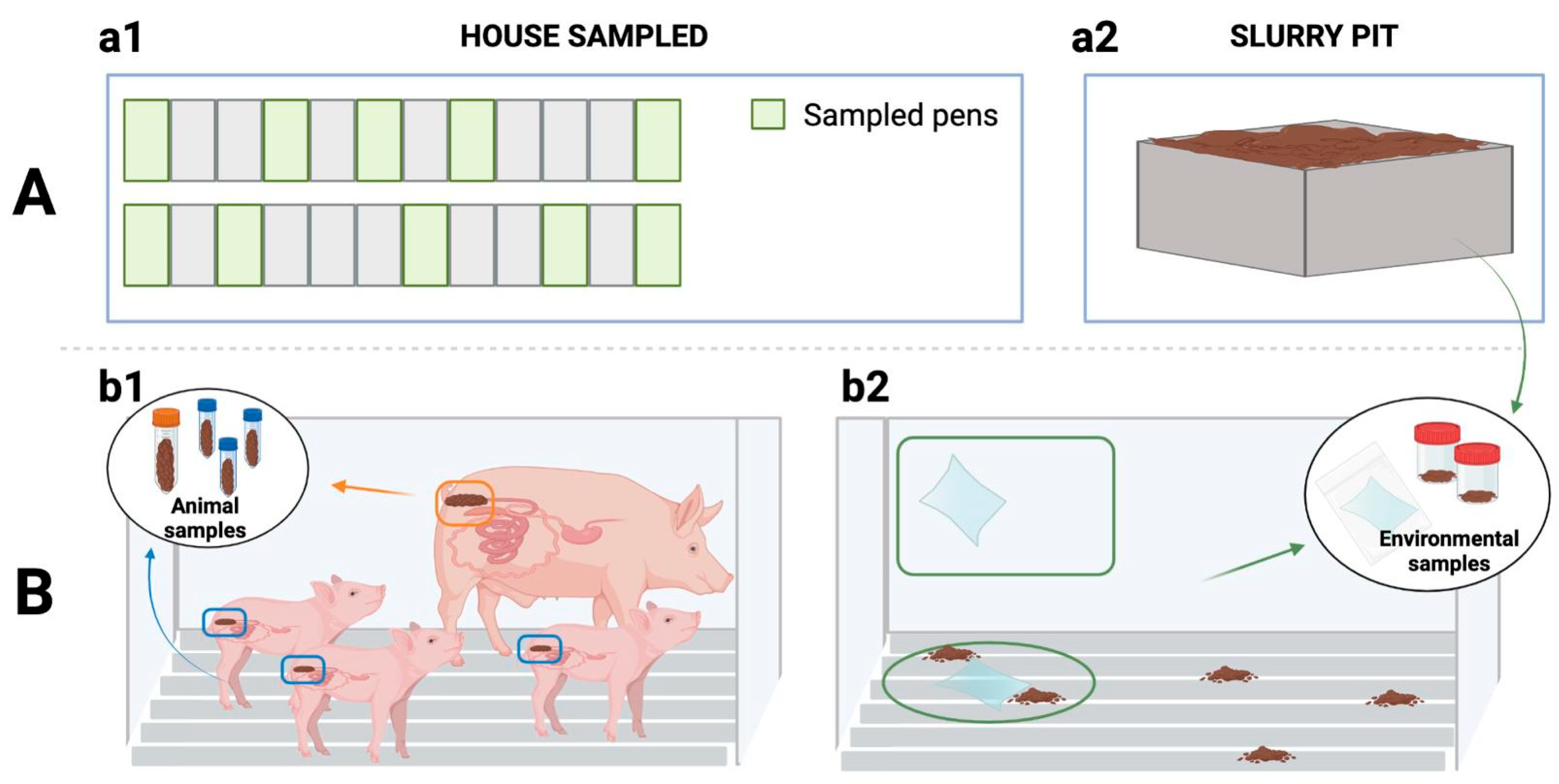 Antibiotics 13 00883 g003