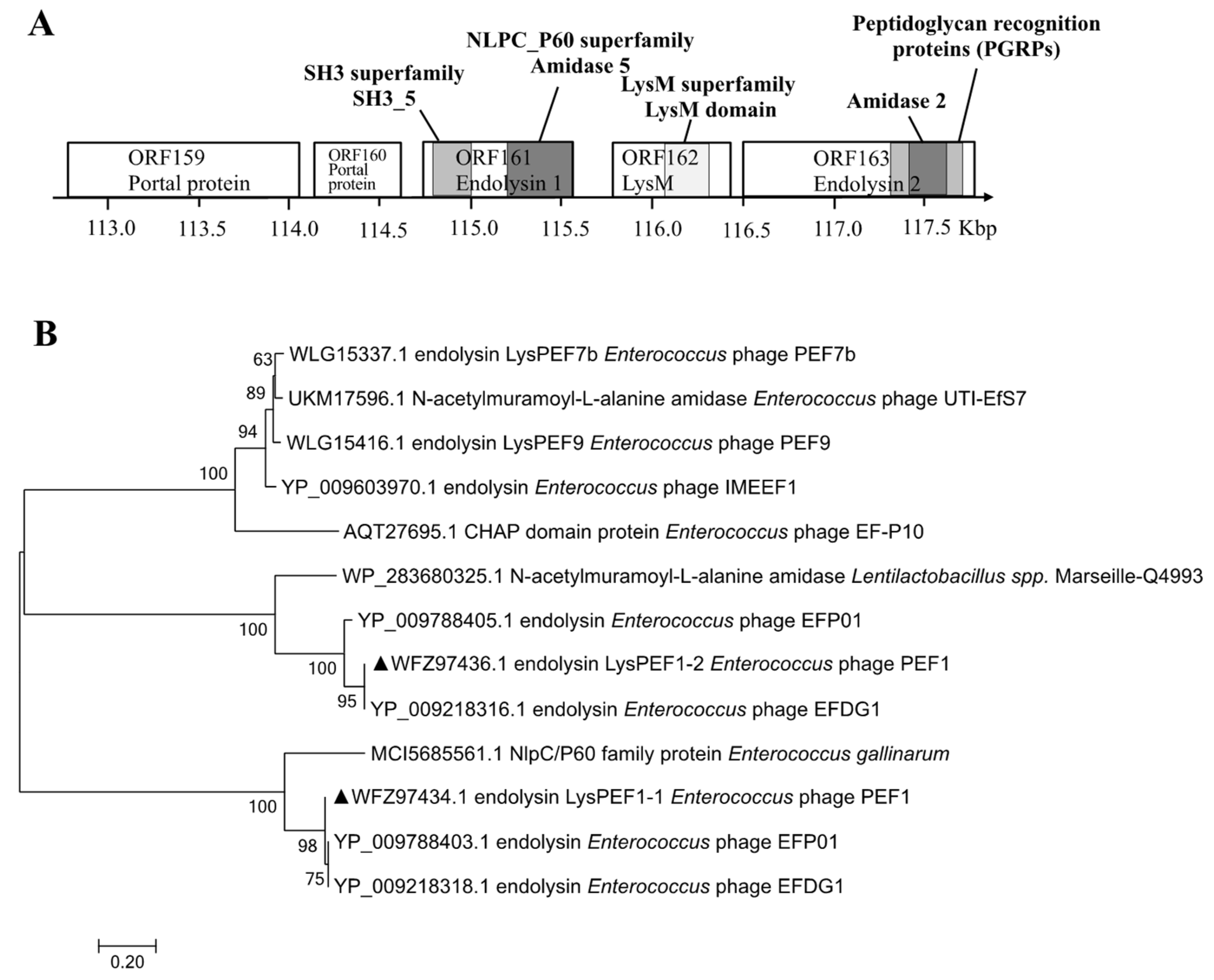 Antibiotics 13 00884 g001a