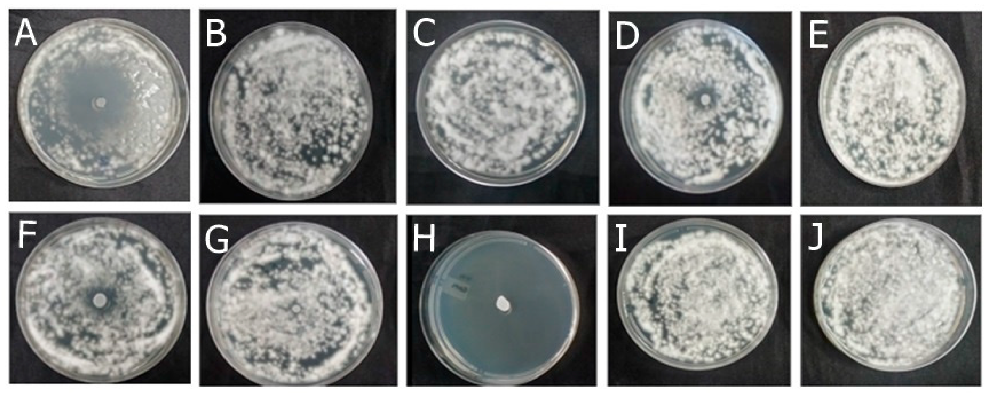Antibiotics 13 00892 g002