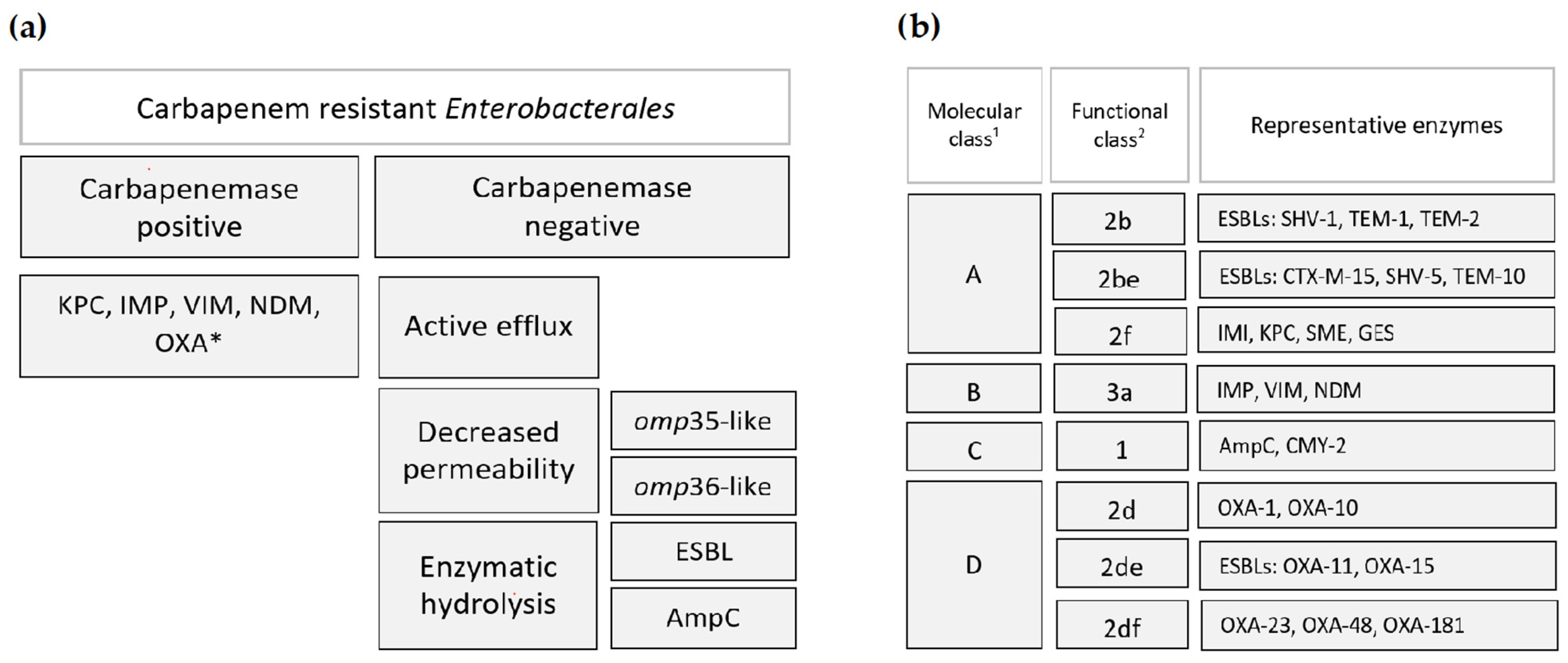 Antibiotics 13 00895 g001