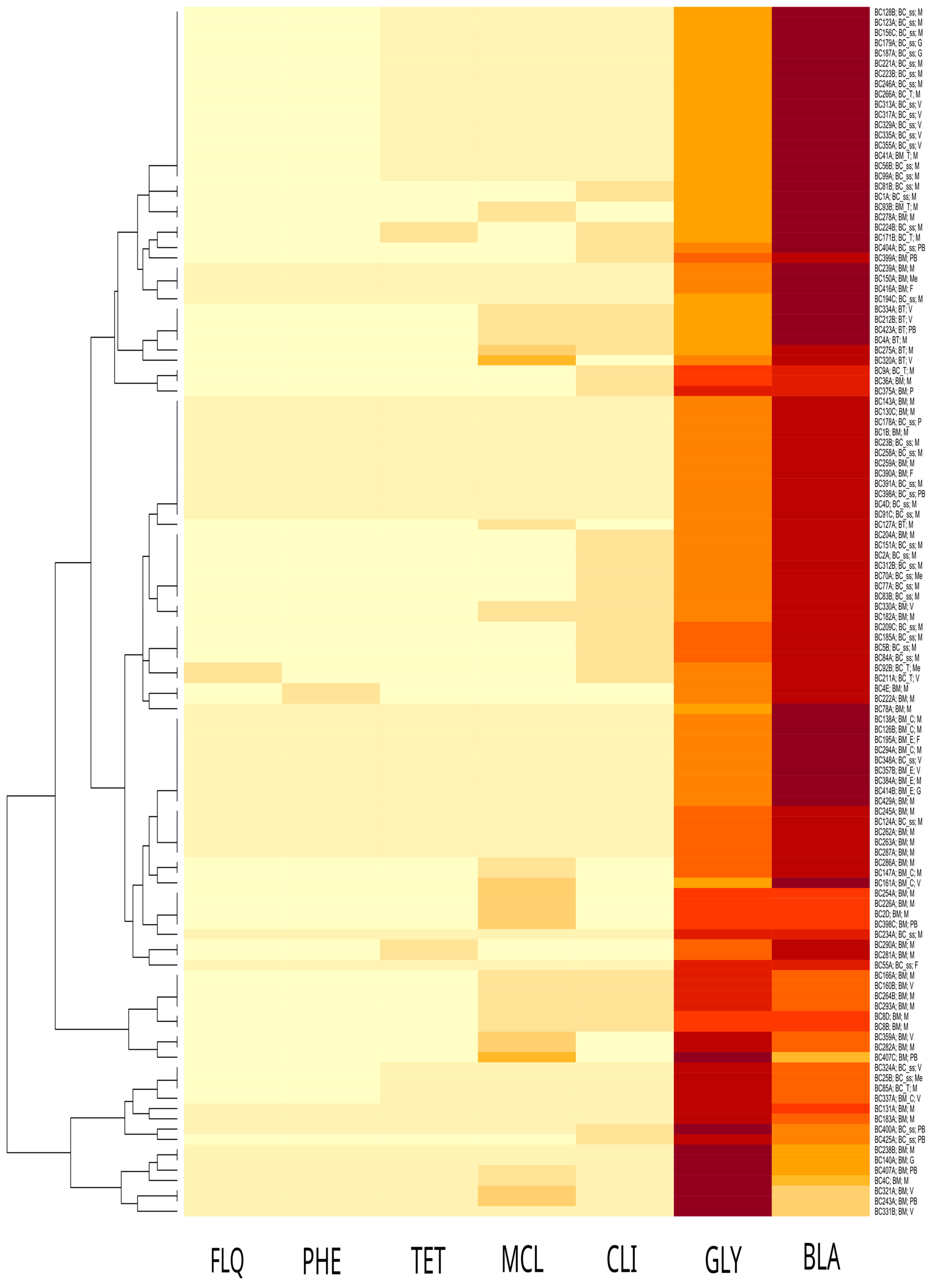 Antibiotics 13 00898 g002