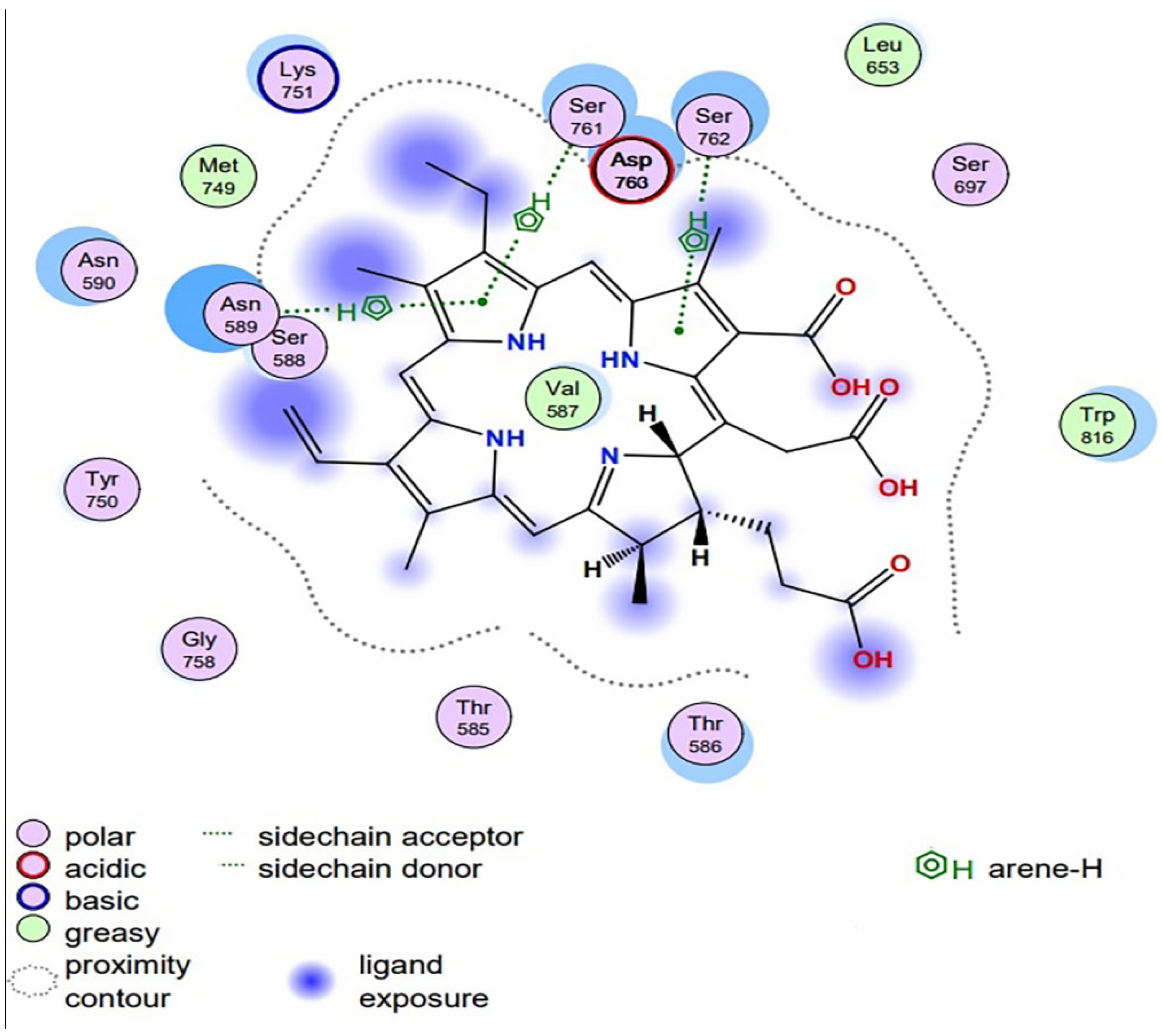 Antibiotics 13 00899 g009