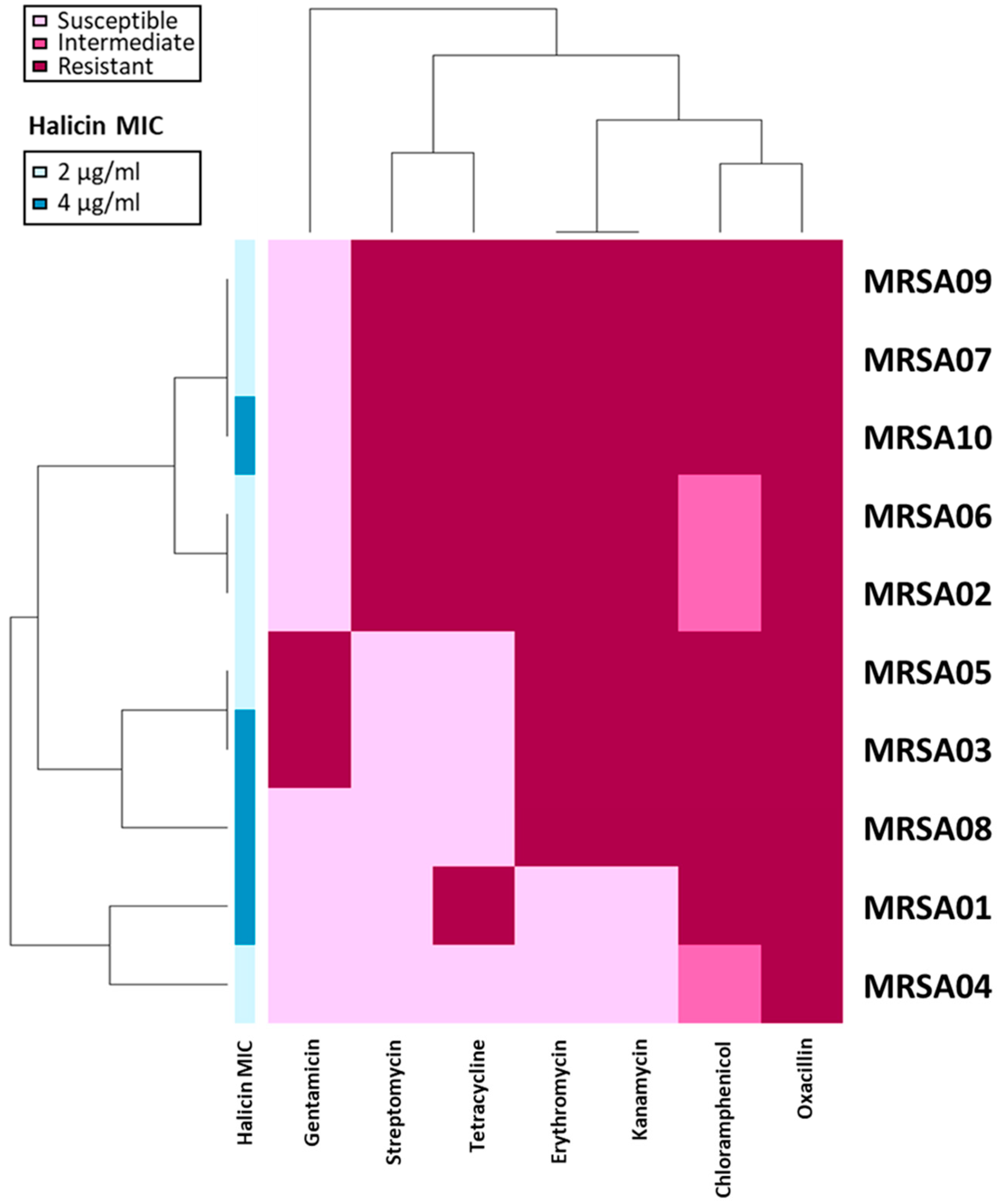 Antibiotics 13 00906 g001