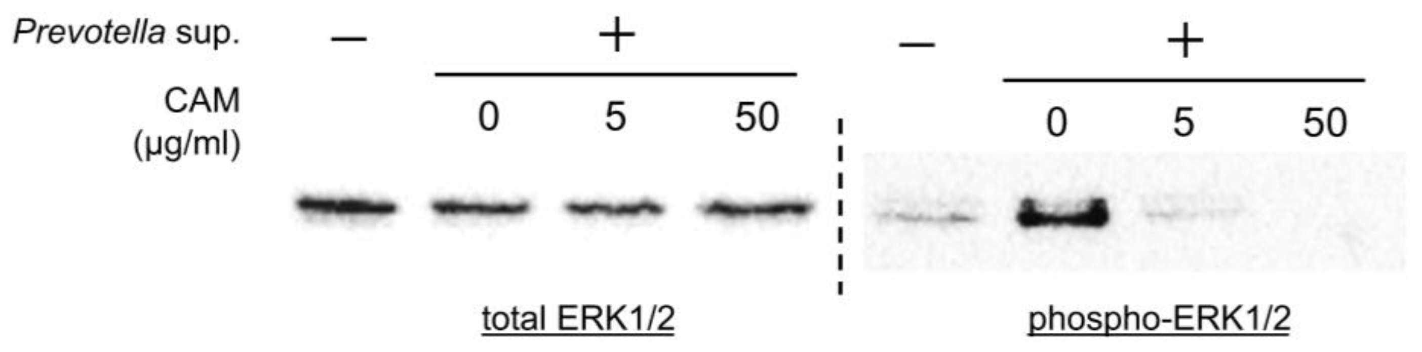 Antibiotics 13 00909 g004 Antibiotics 13 00909 g004