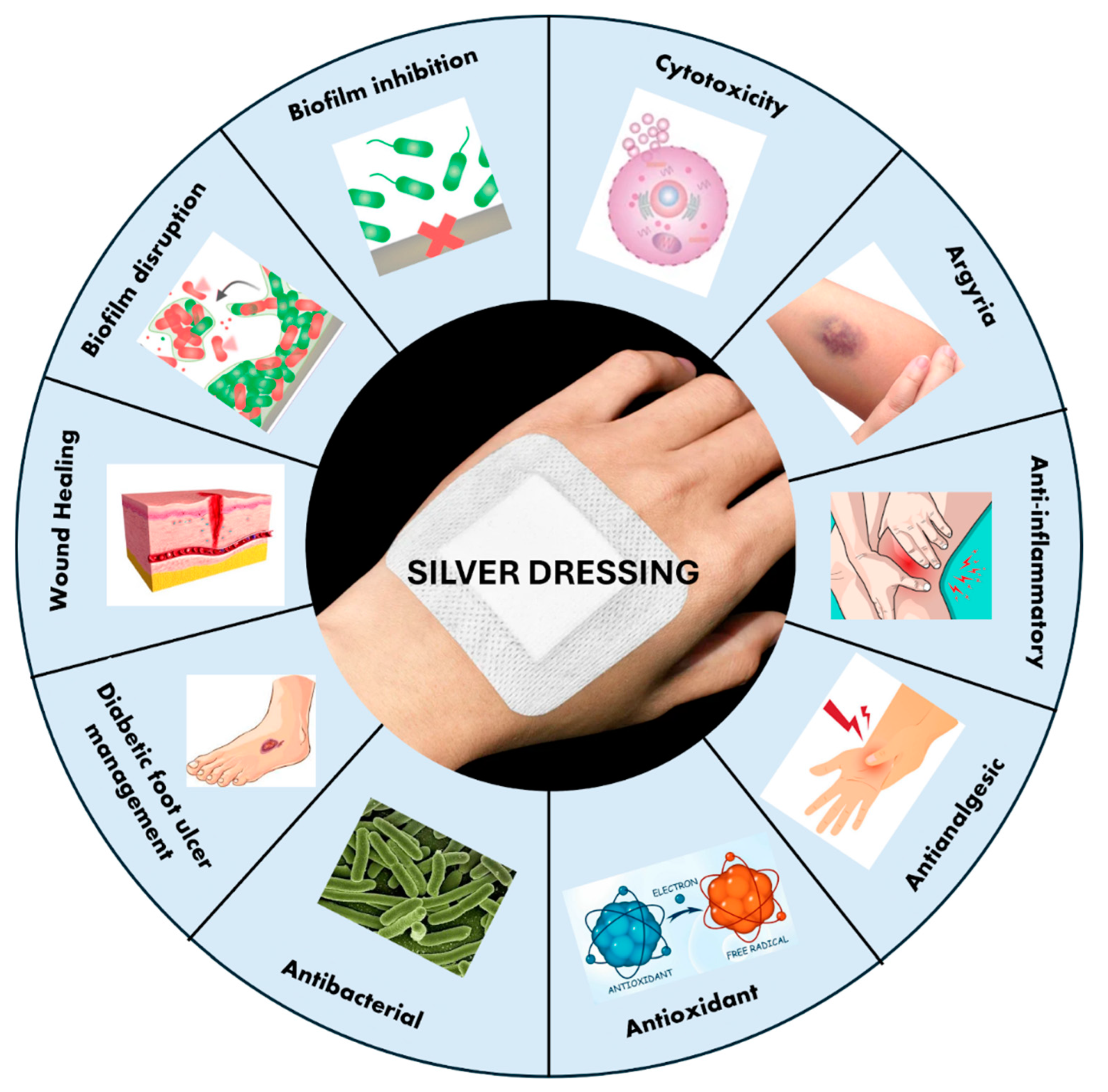 Antibiotics 13 00910 g002