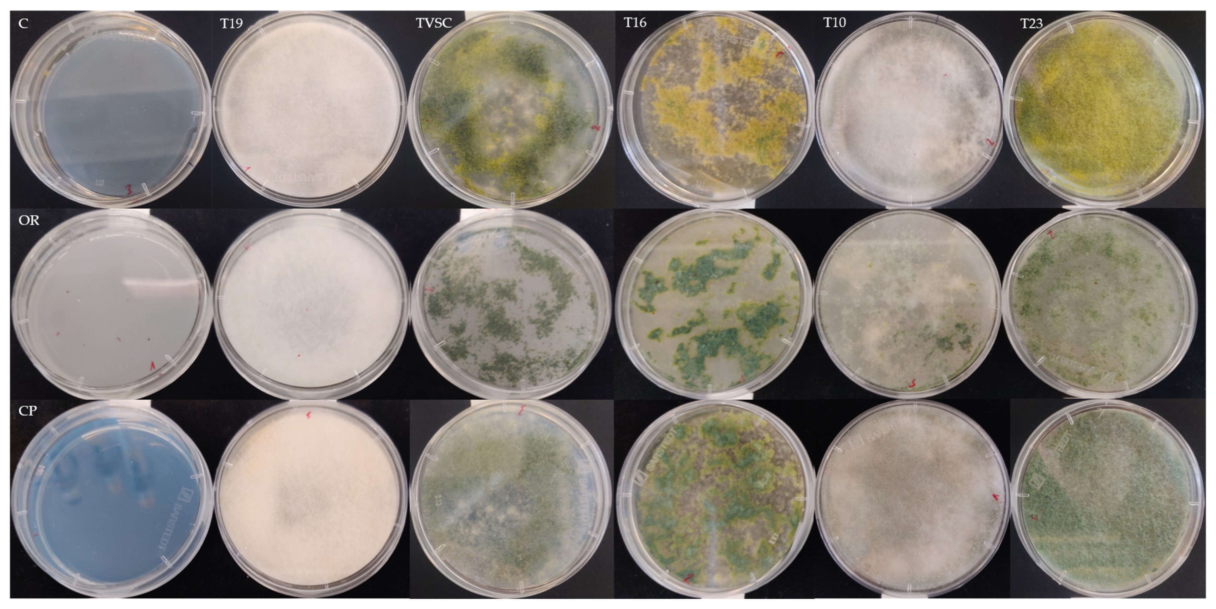 Antibiotics 13 00912 g0a1