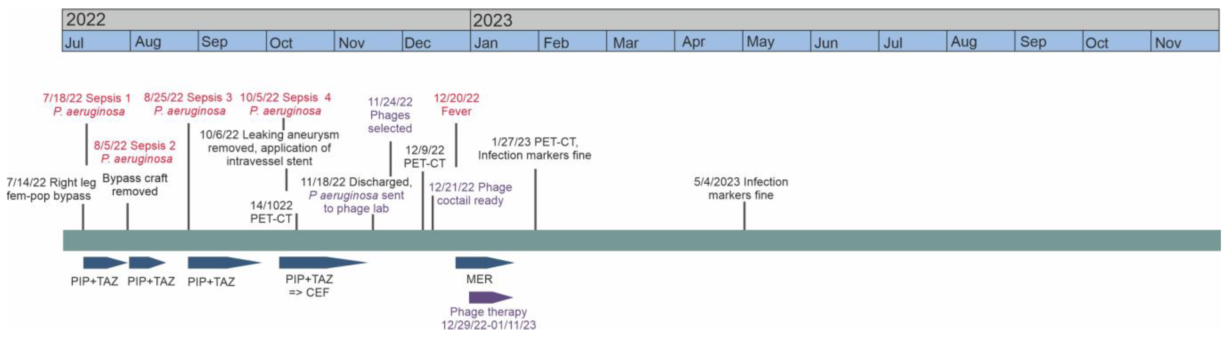 Antibiotics 13 00916 g001