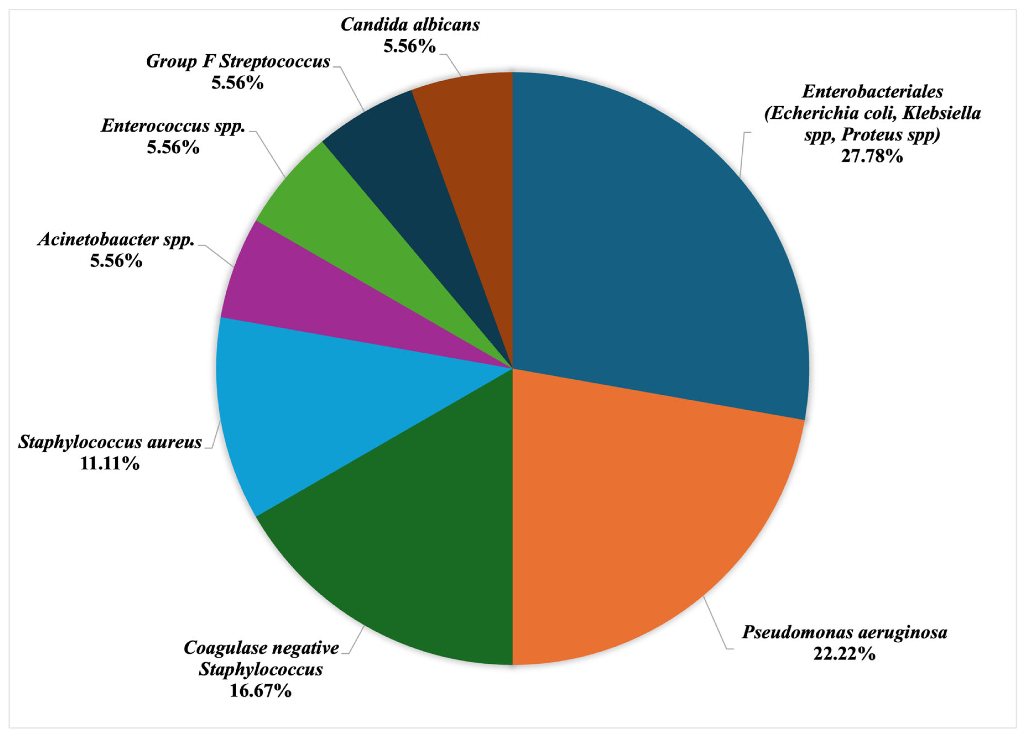 Antibiotics 13 00918 g001