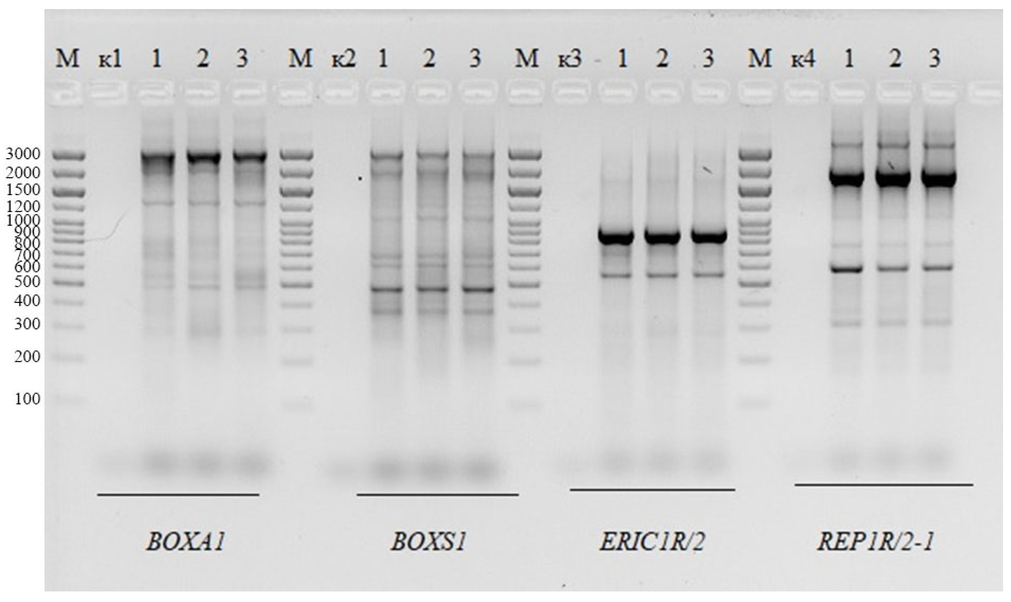 Antibiotics 13 00924 g002 Antibiotics 13 00924 g002