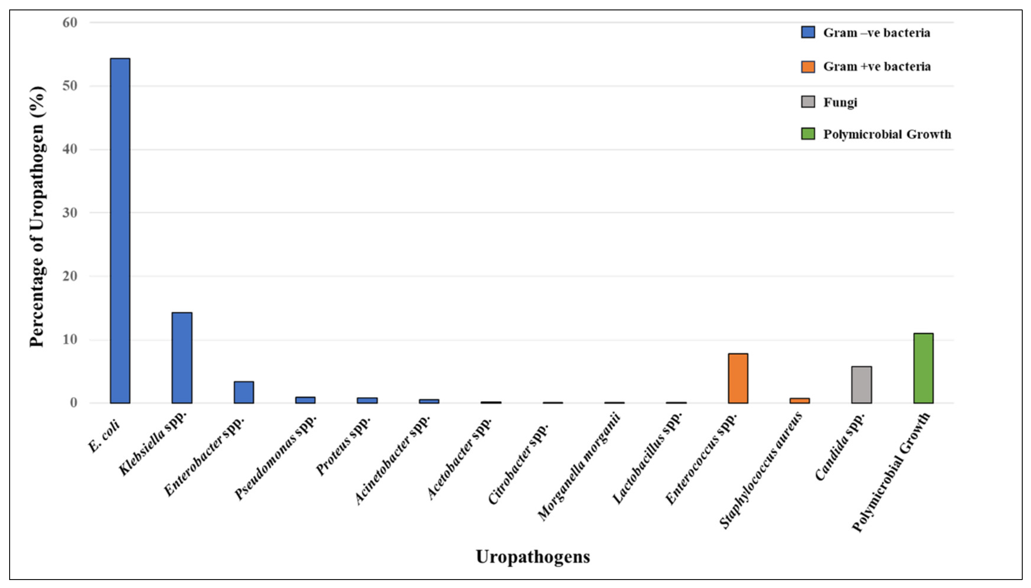 Antibiotics 13 00925 g002