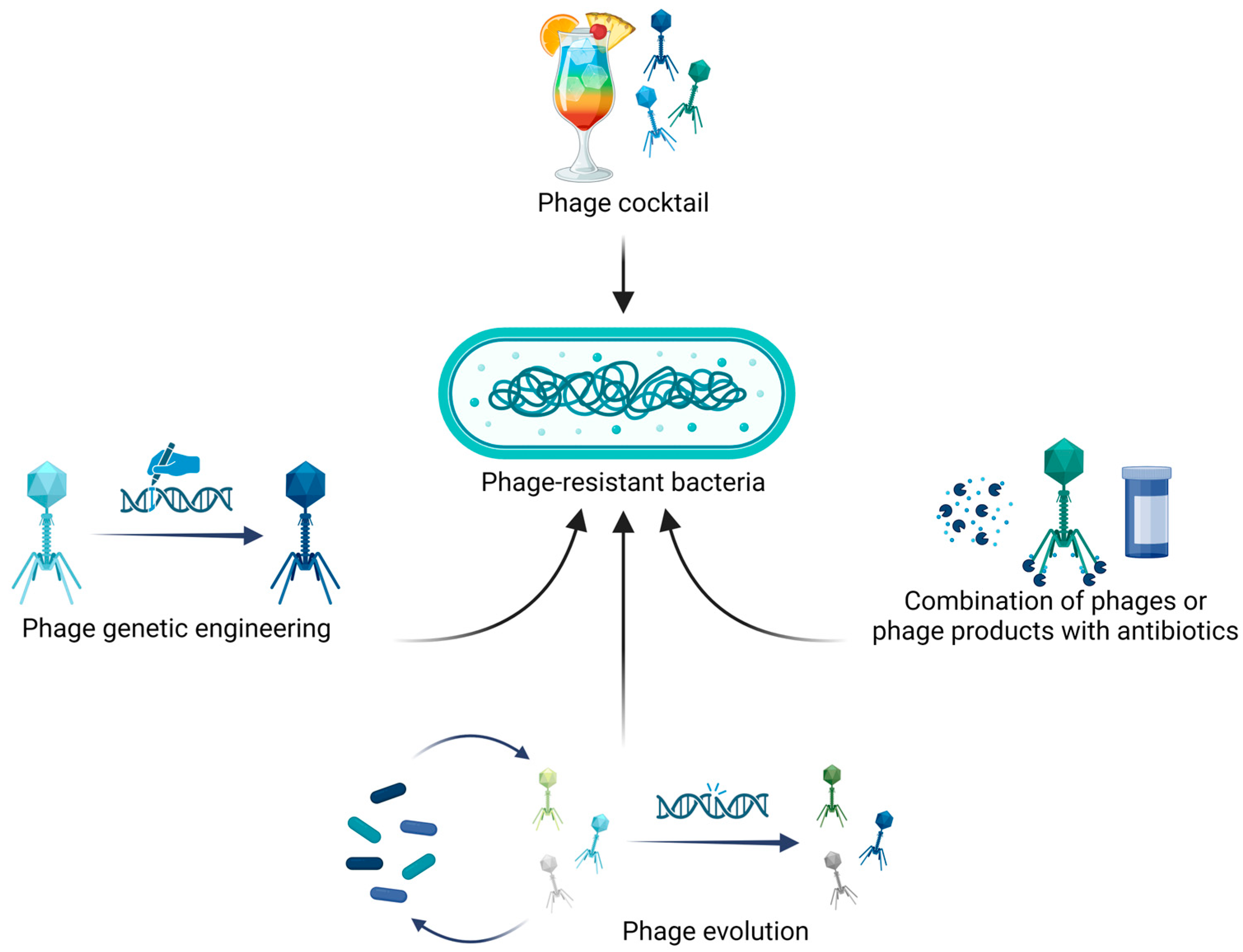Antibiotics 13 00926 g003