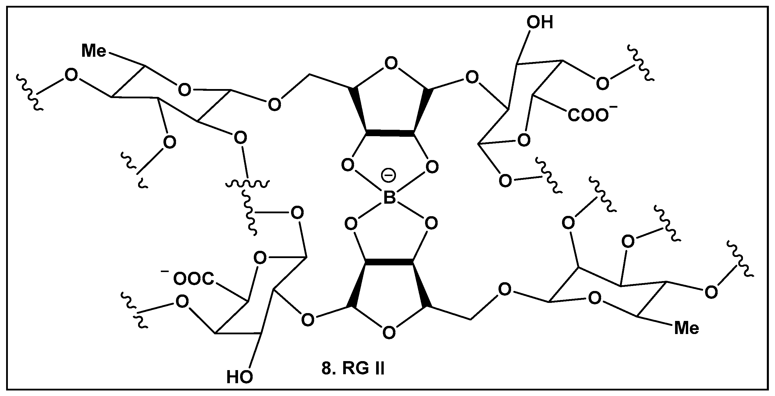 Antibiotics 13 00929 g005 Antibiotics 13 00929 g005