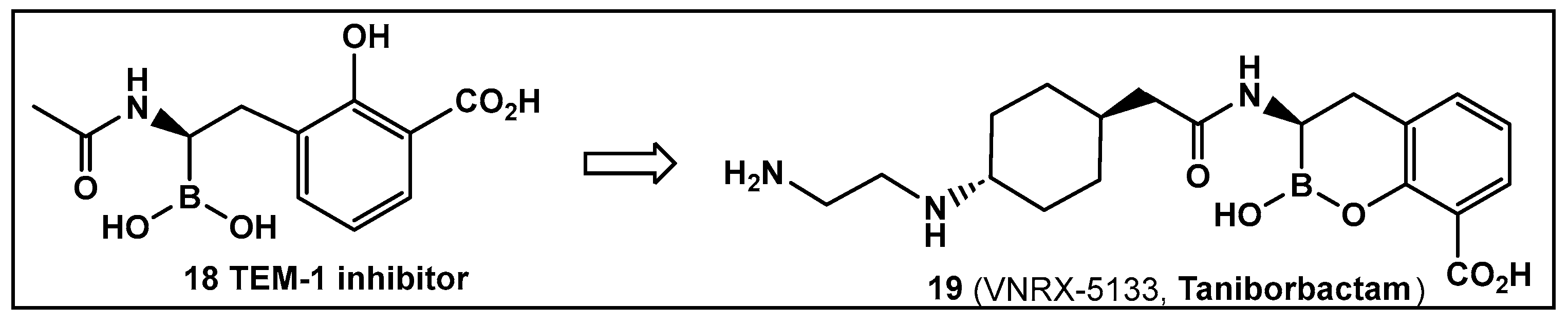 Antibiotics 13 00929 g010 Antibiotics 13 00929 g010