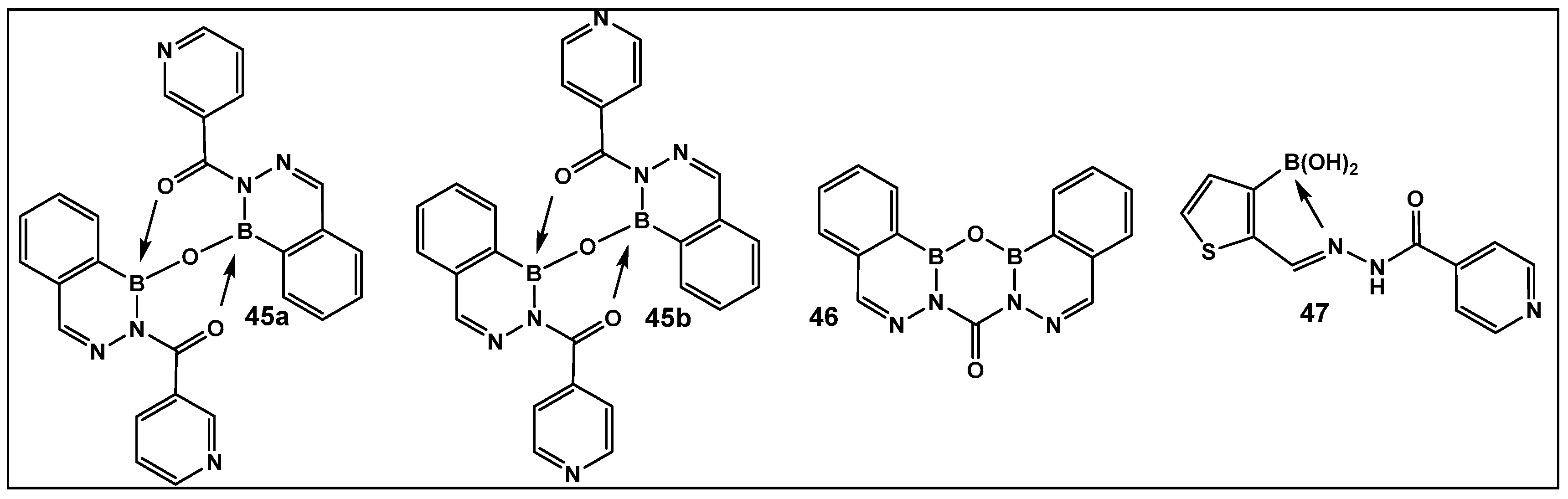 Antibiotics 13 00929 g020 Antibiotics 13 00929 g020