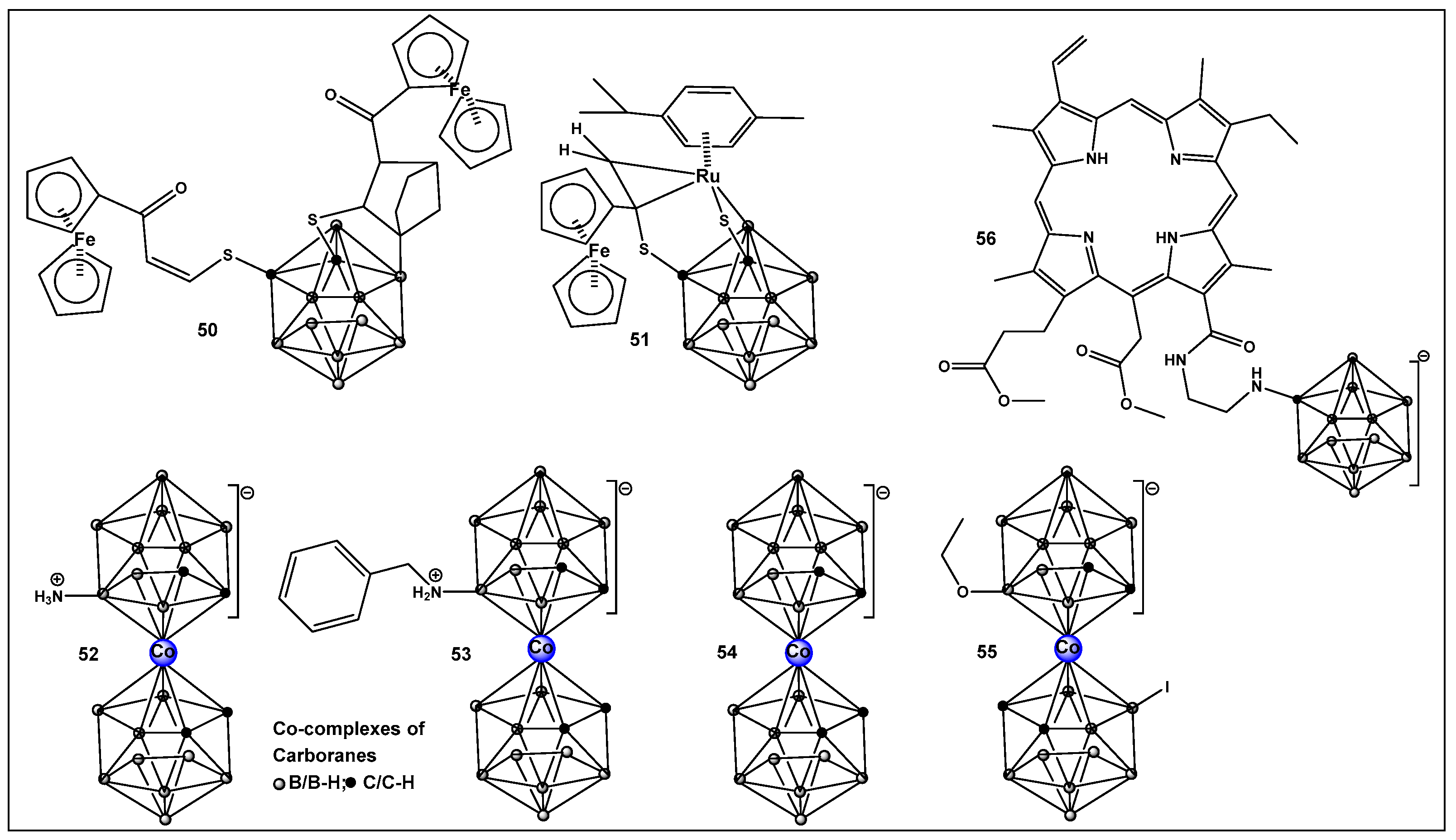 Antibiotics 13 00929 g024 Antibiotics 13 00929 g024