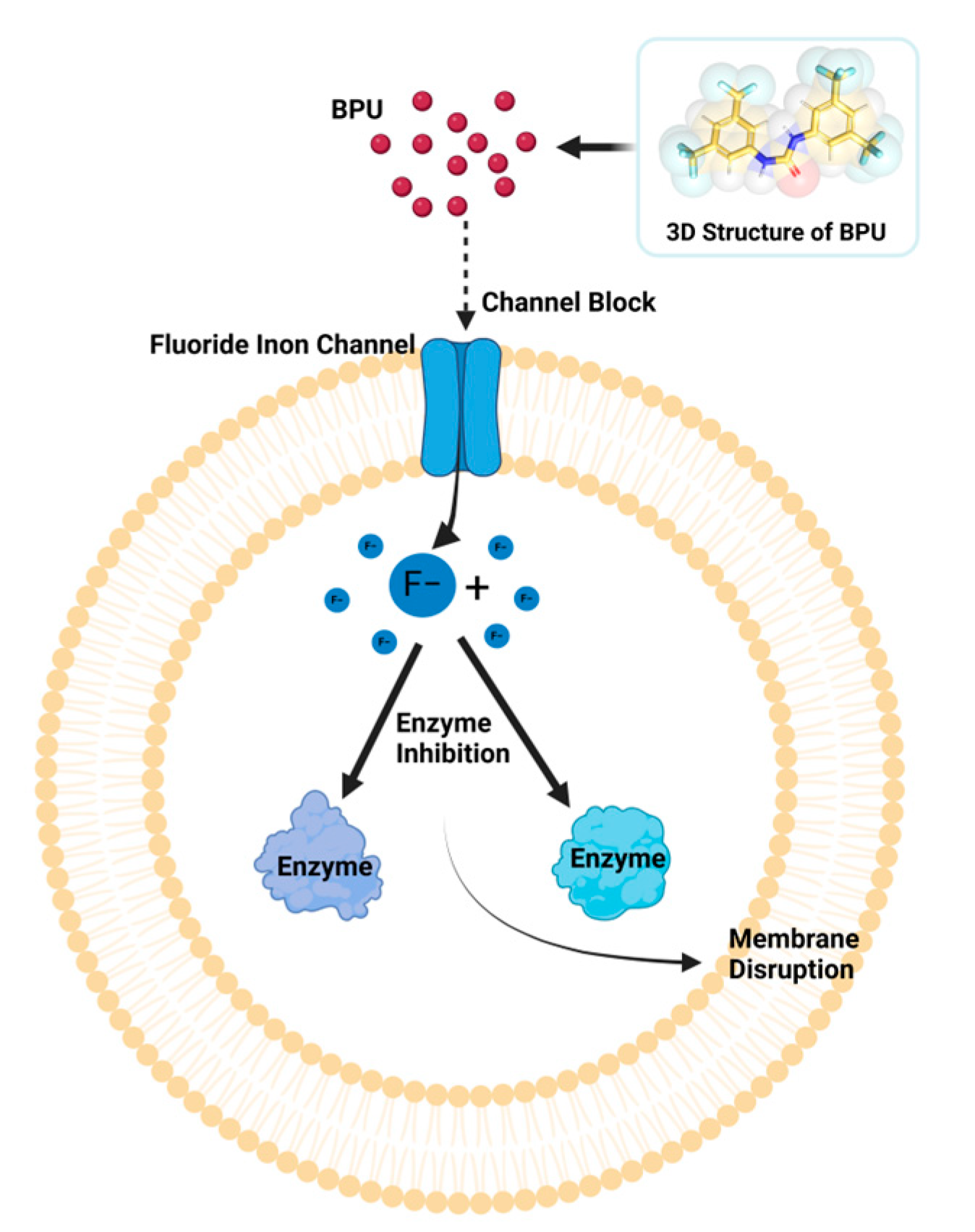 Antibiotics 13 00930 g008