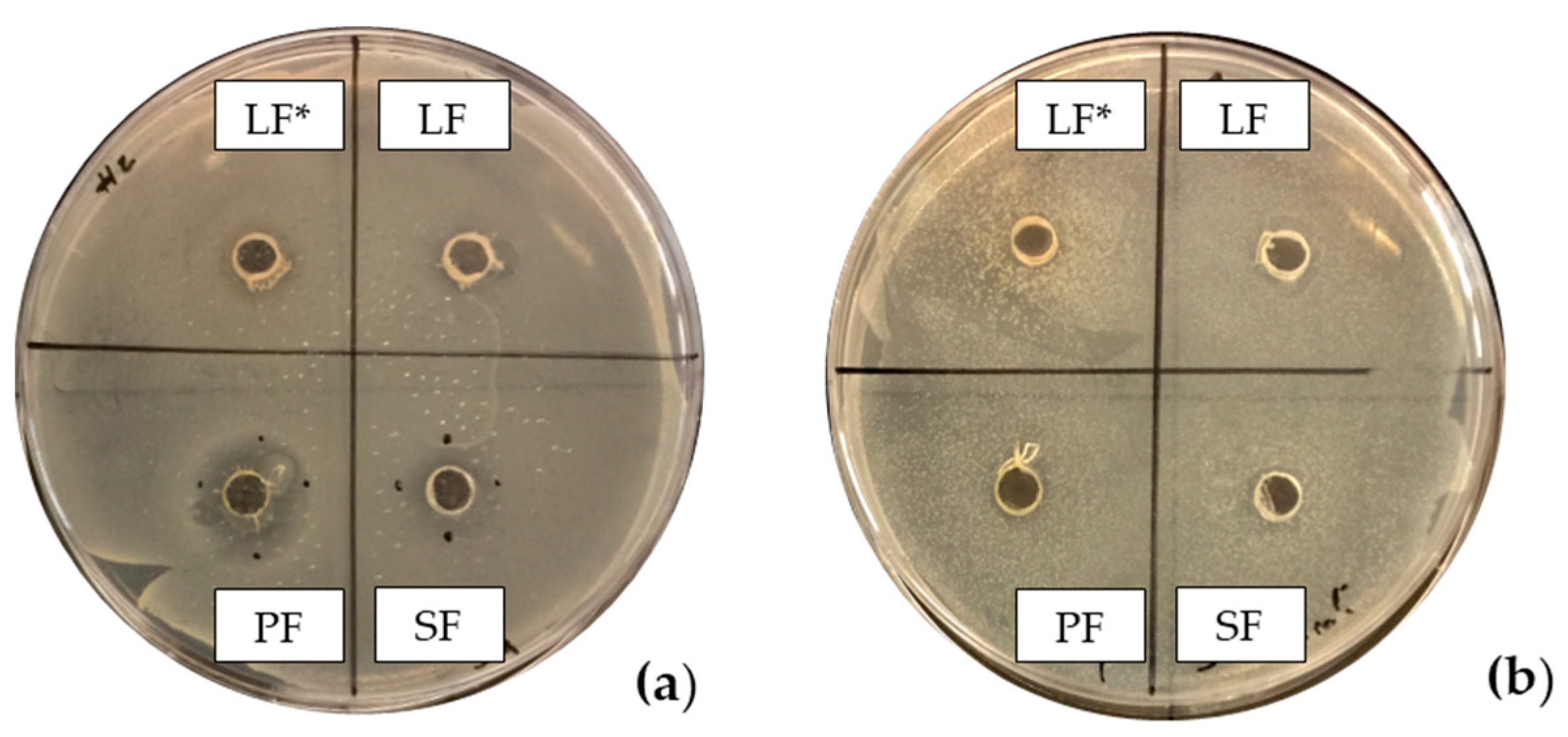 Antibiotics 13 00932 g001