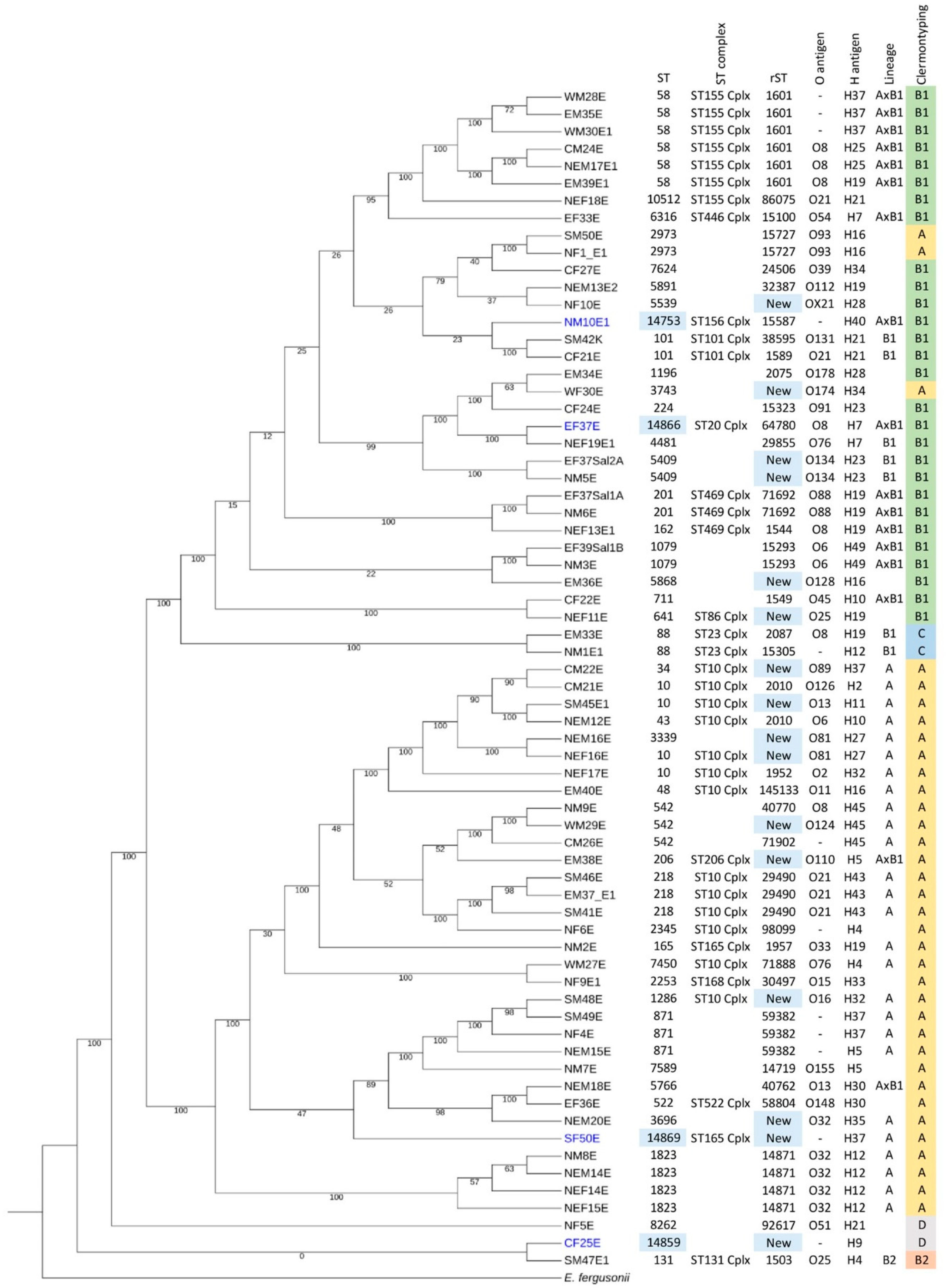 Antibiotics 13 00935 g002 Antibiotics 13 00935 g002