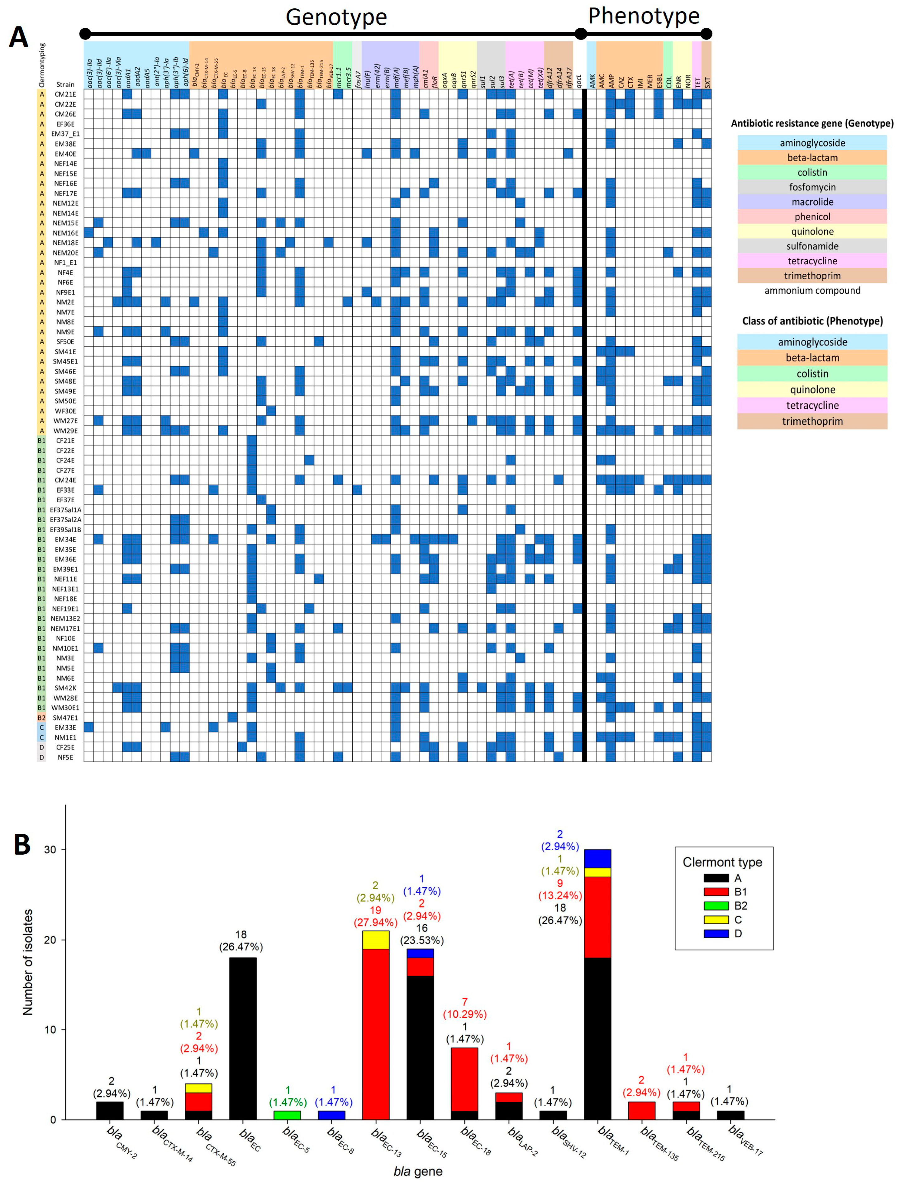 Antibiotics 13 00935 g003 Antibiotics 13 00935 g003