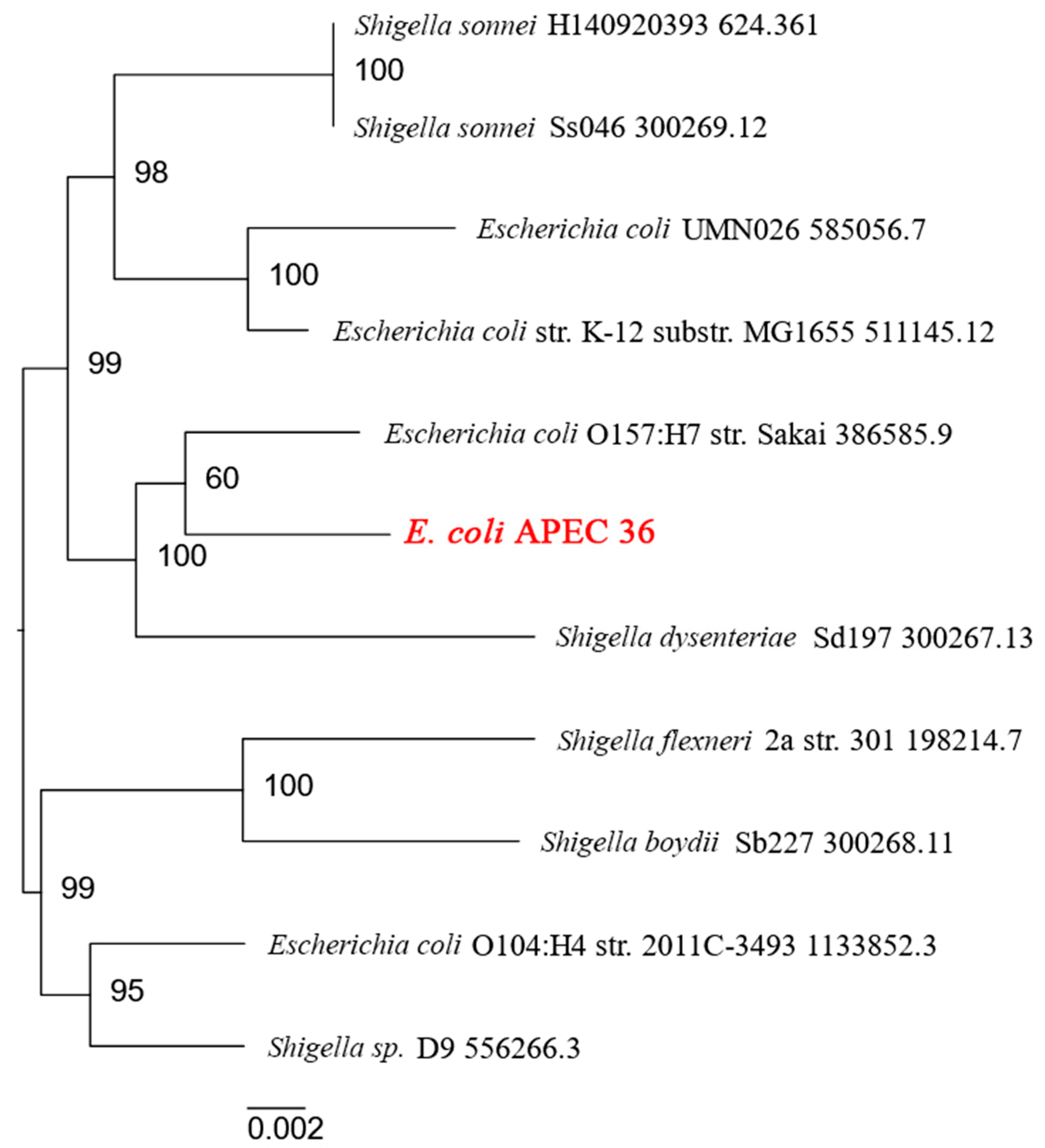 Antibiotics 13 00945 g001
