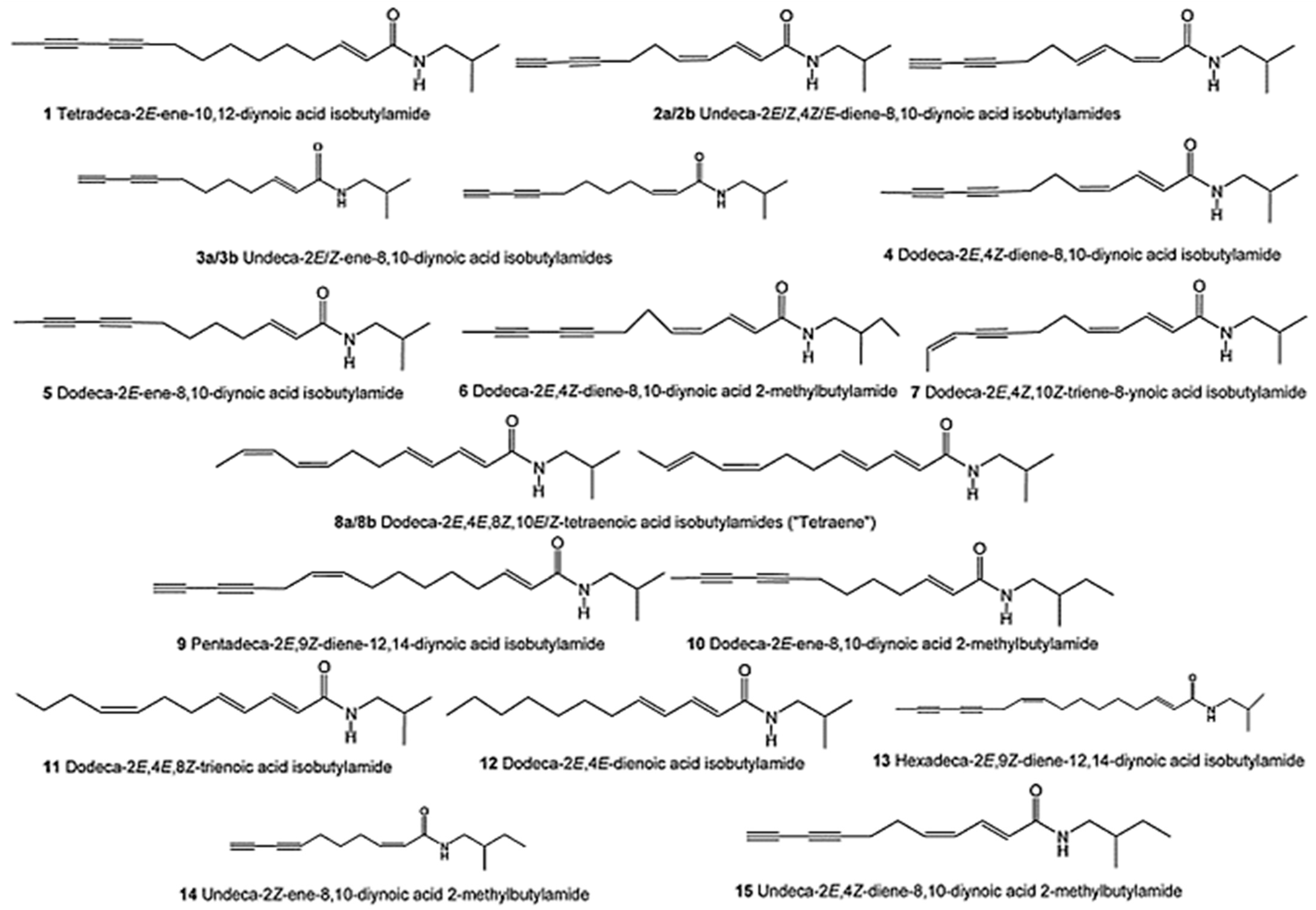 Antibiotics 13 00947 g002