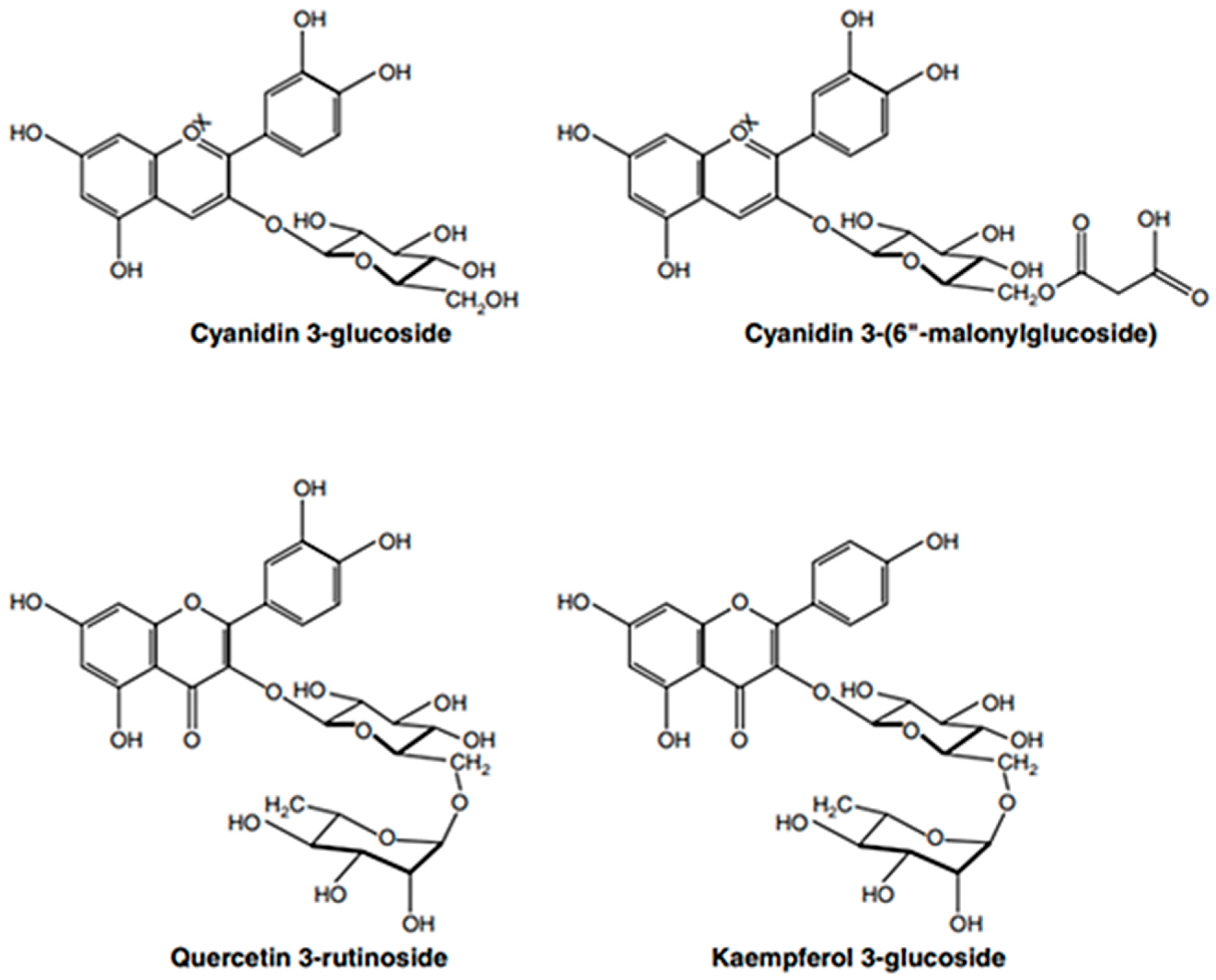 Antibiotics 13 00947 g003
