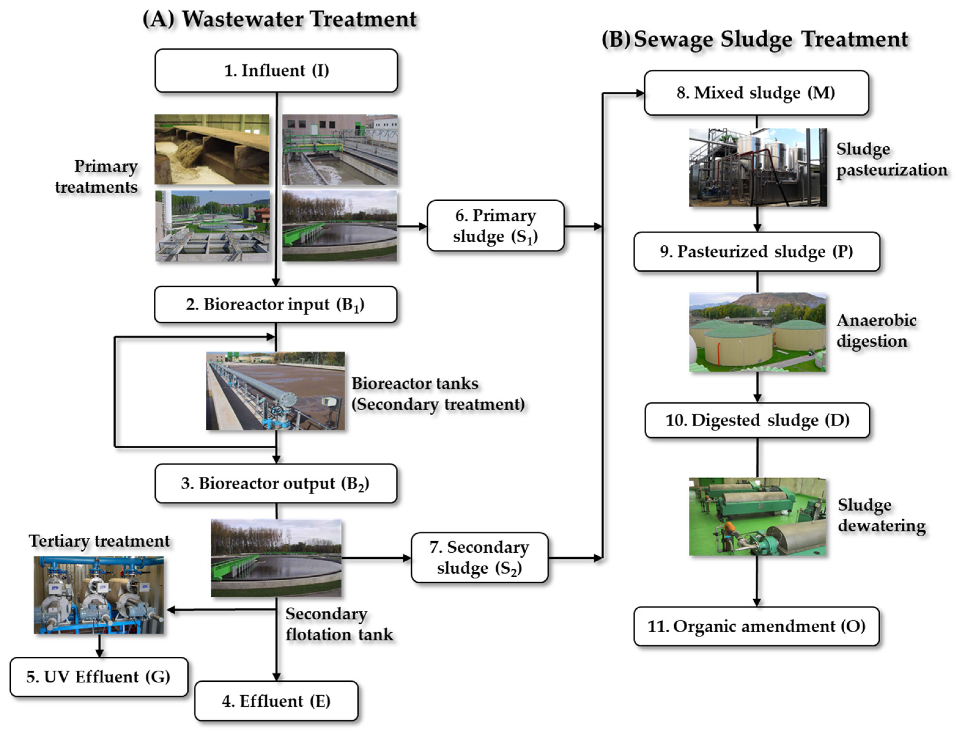Antibiotics 13 00955 g009 Antibiotics 13 00955 g009