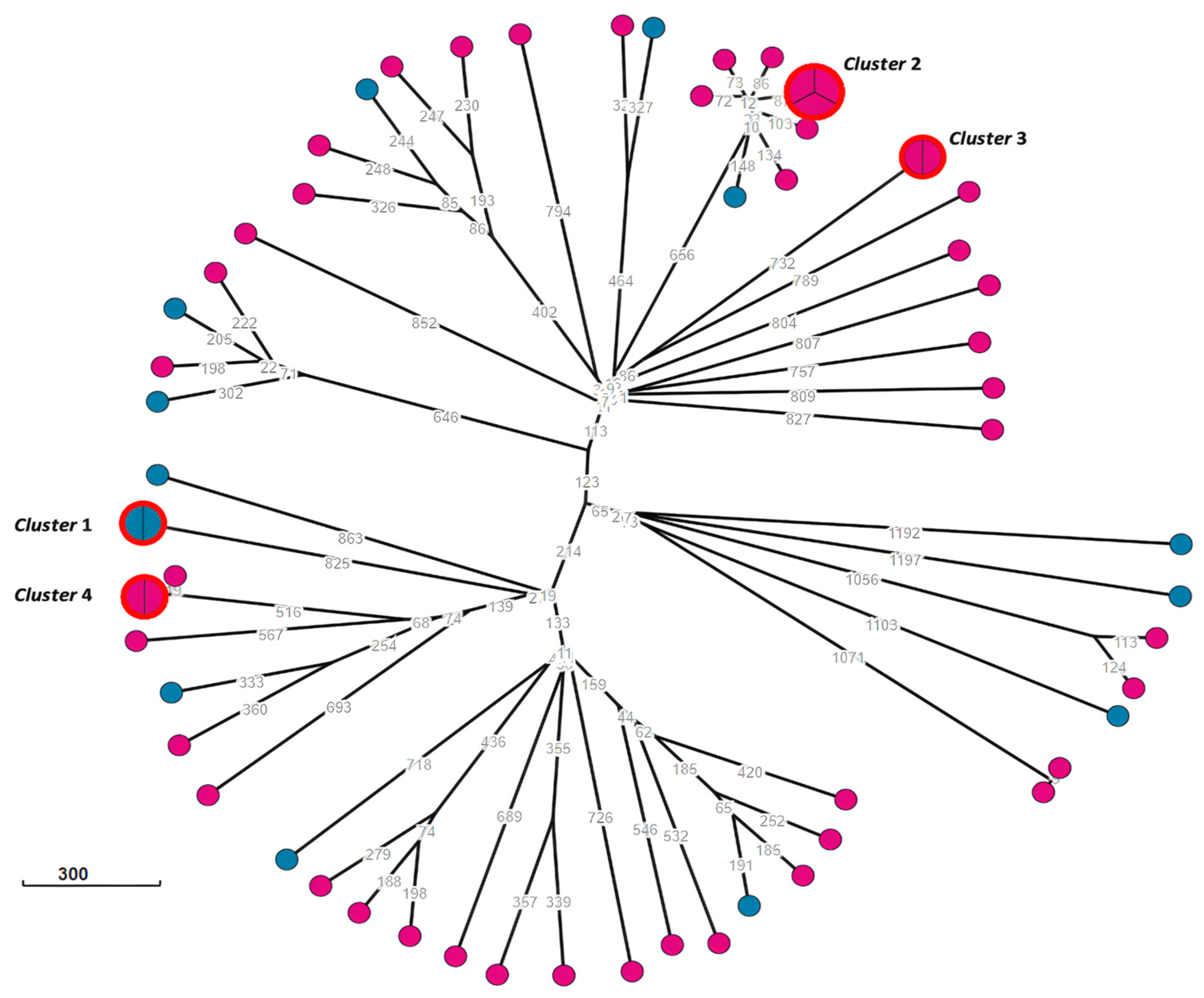 Antibiotics 13 00957 g002