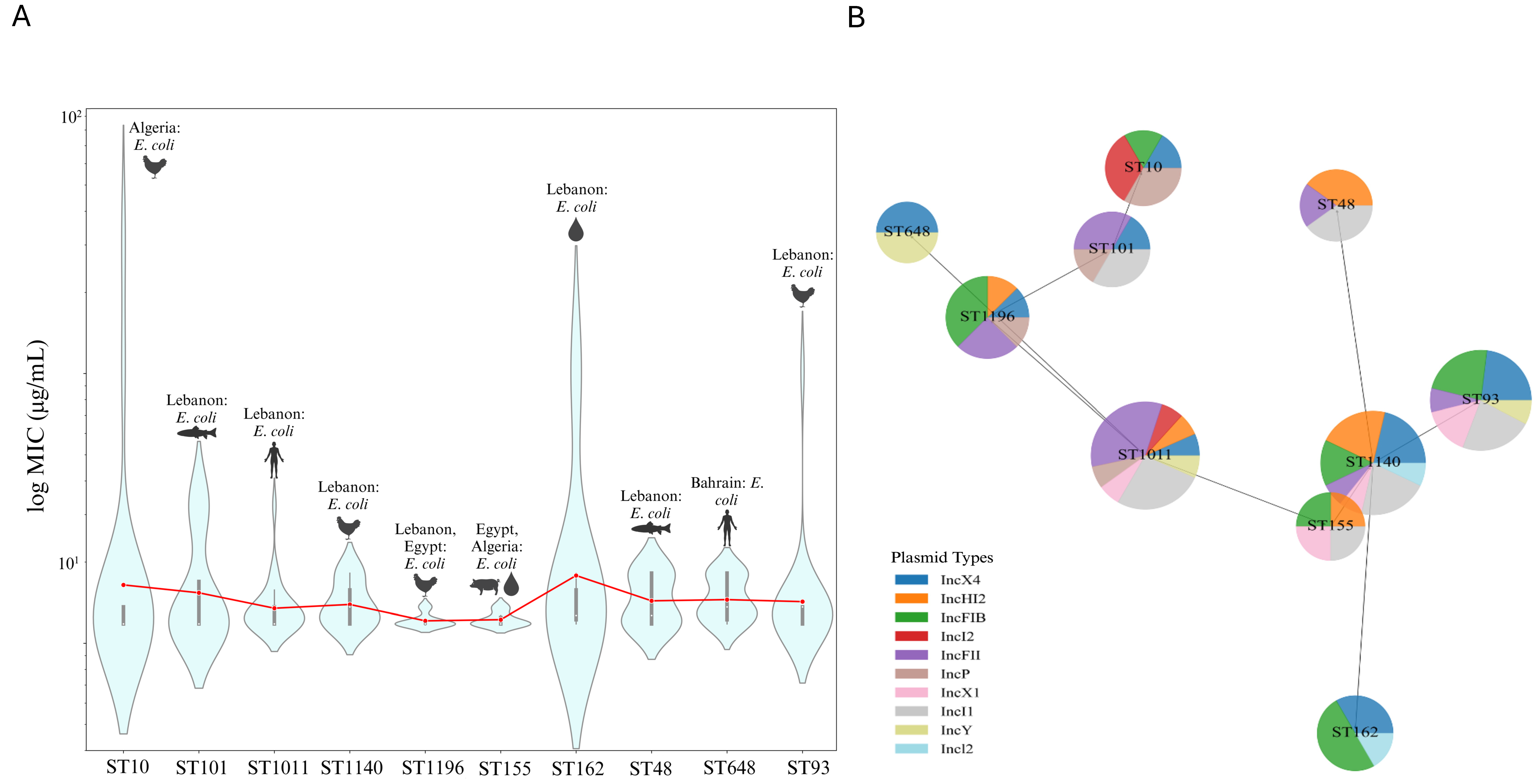 Antibiotics 13 00958 g004