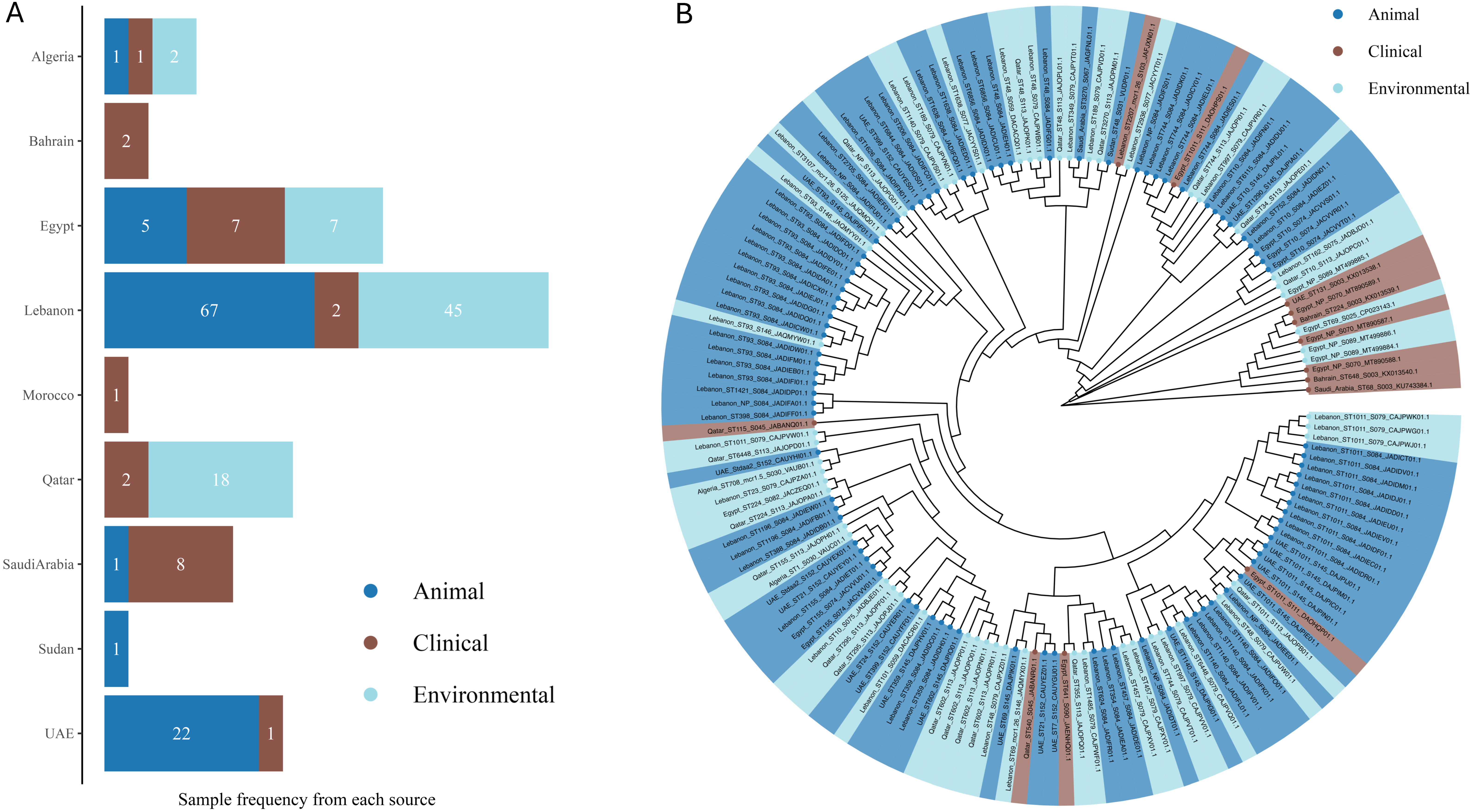 Antibiotics 13 00958 g005