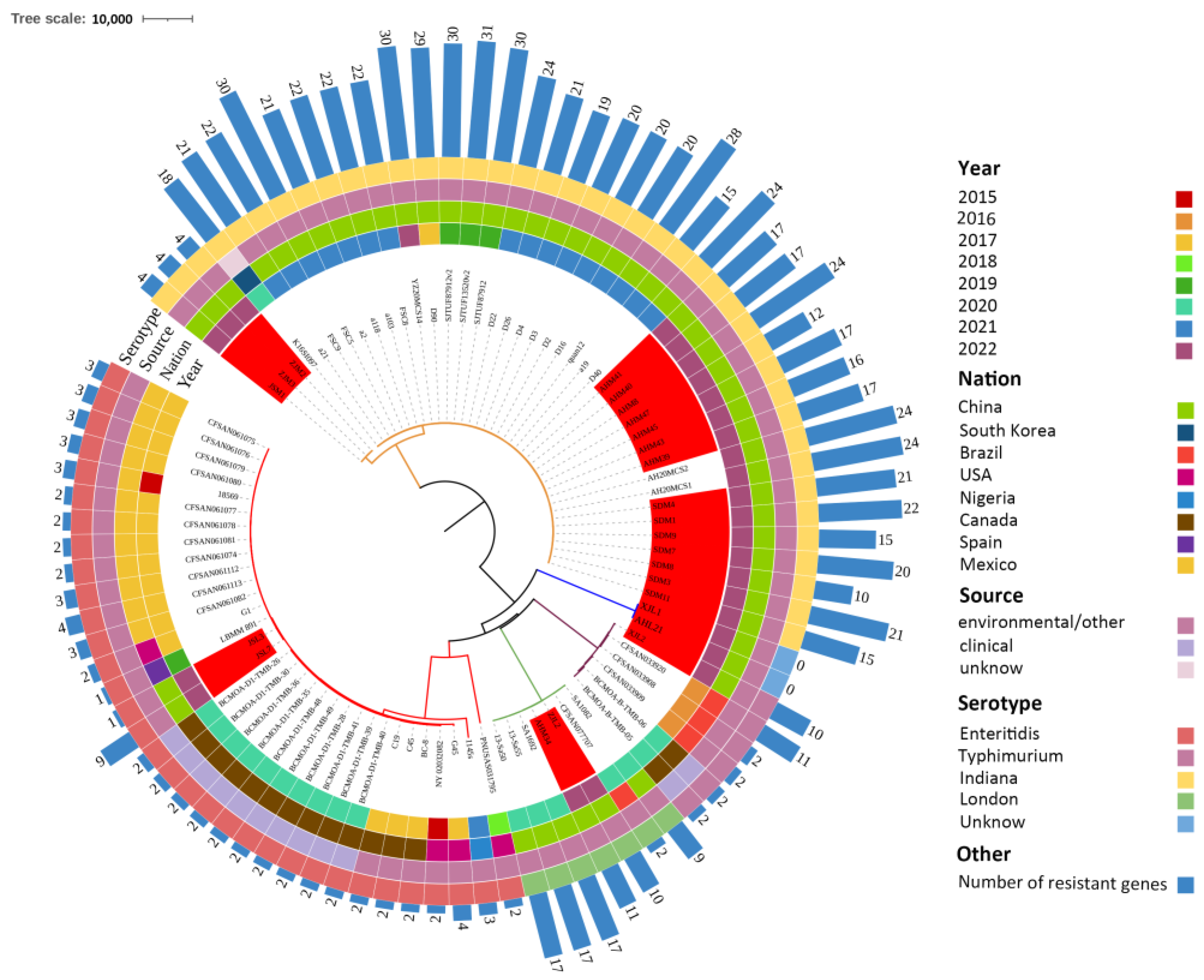 Antibiotics 13 00959 g006