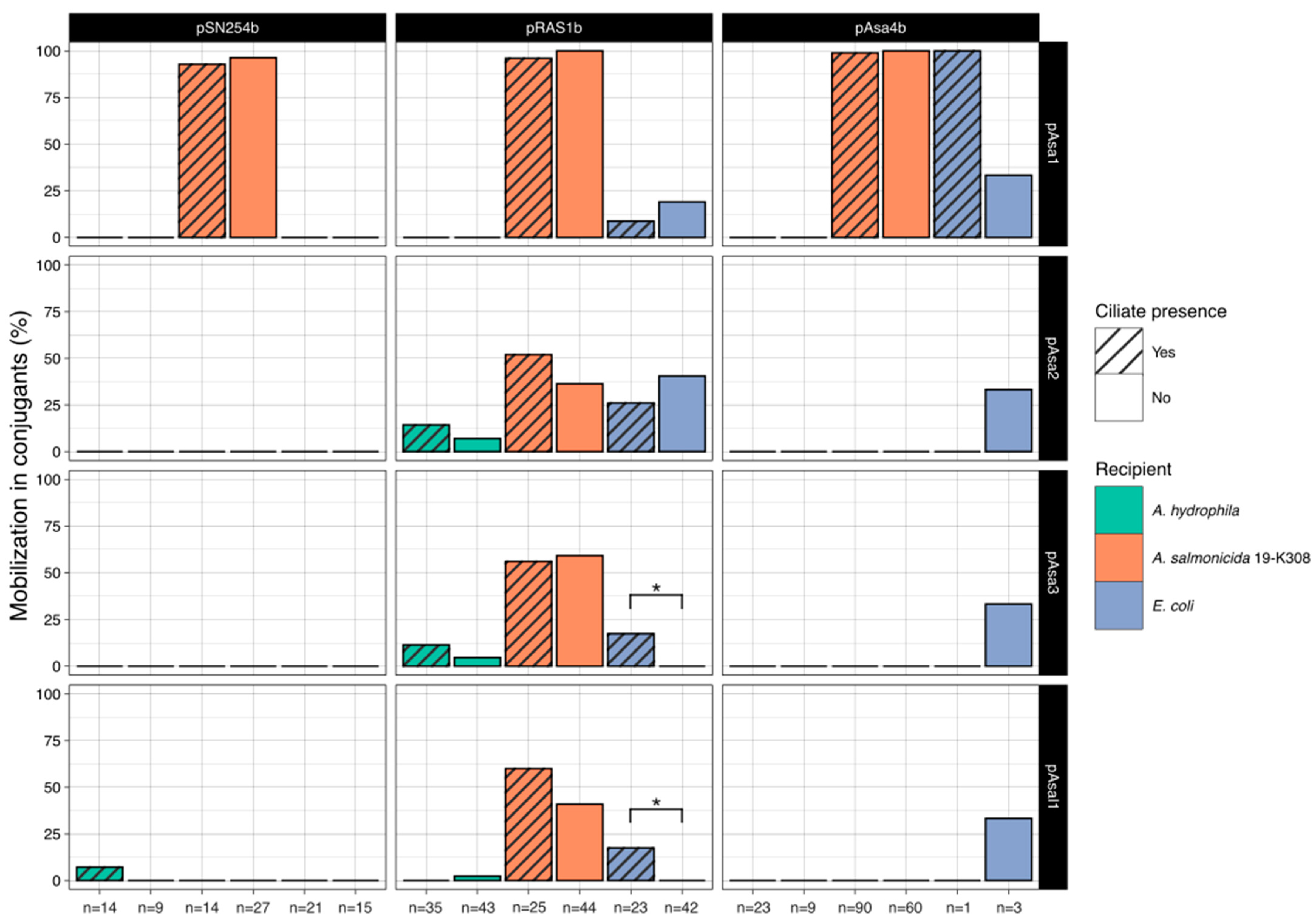 Antibiotics 13 00960 g002 Antibiotics 13 00960 g002