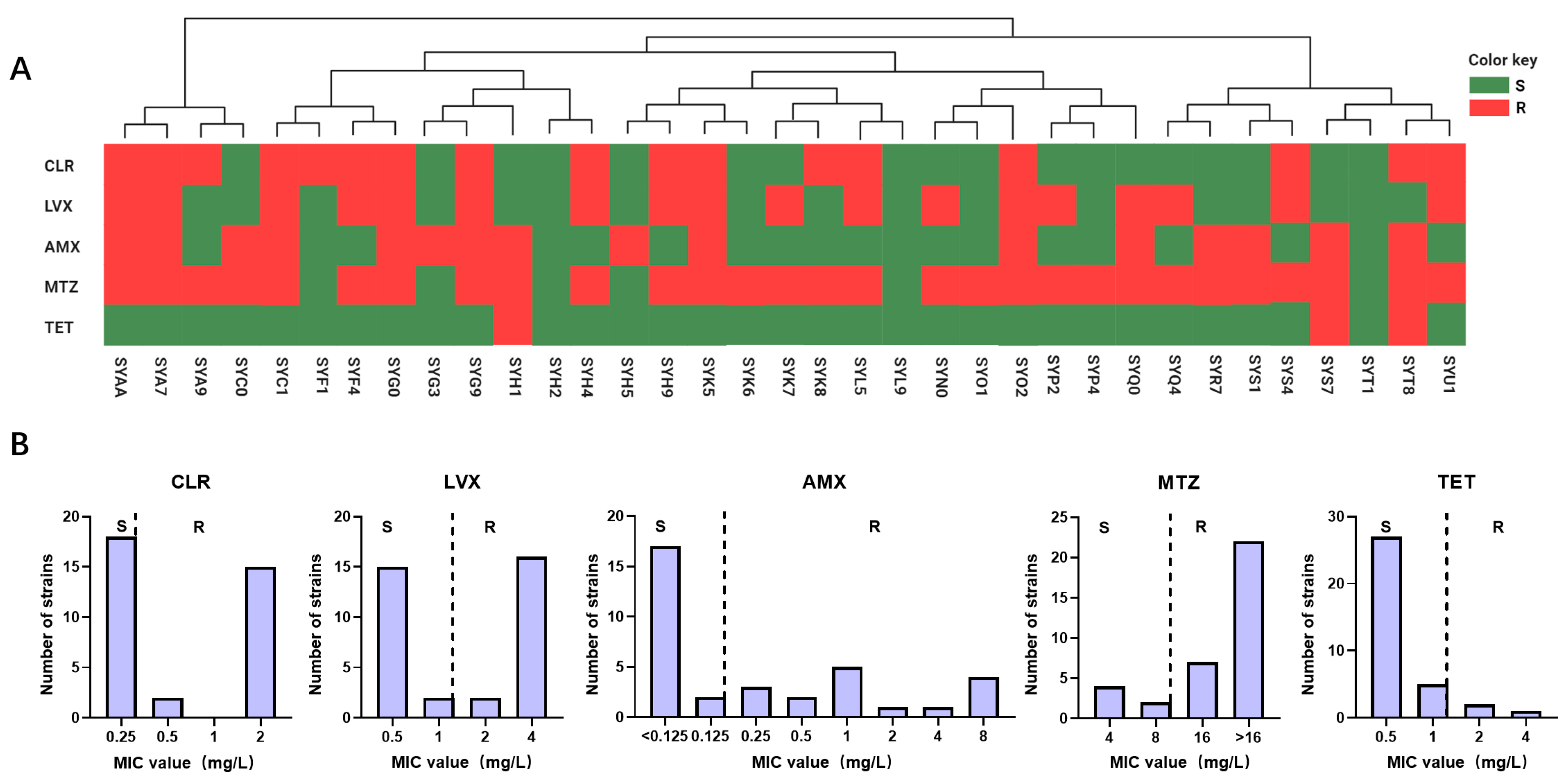Antibiotics 13 00975 g001