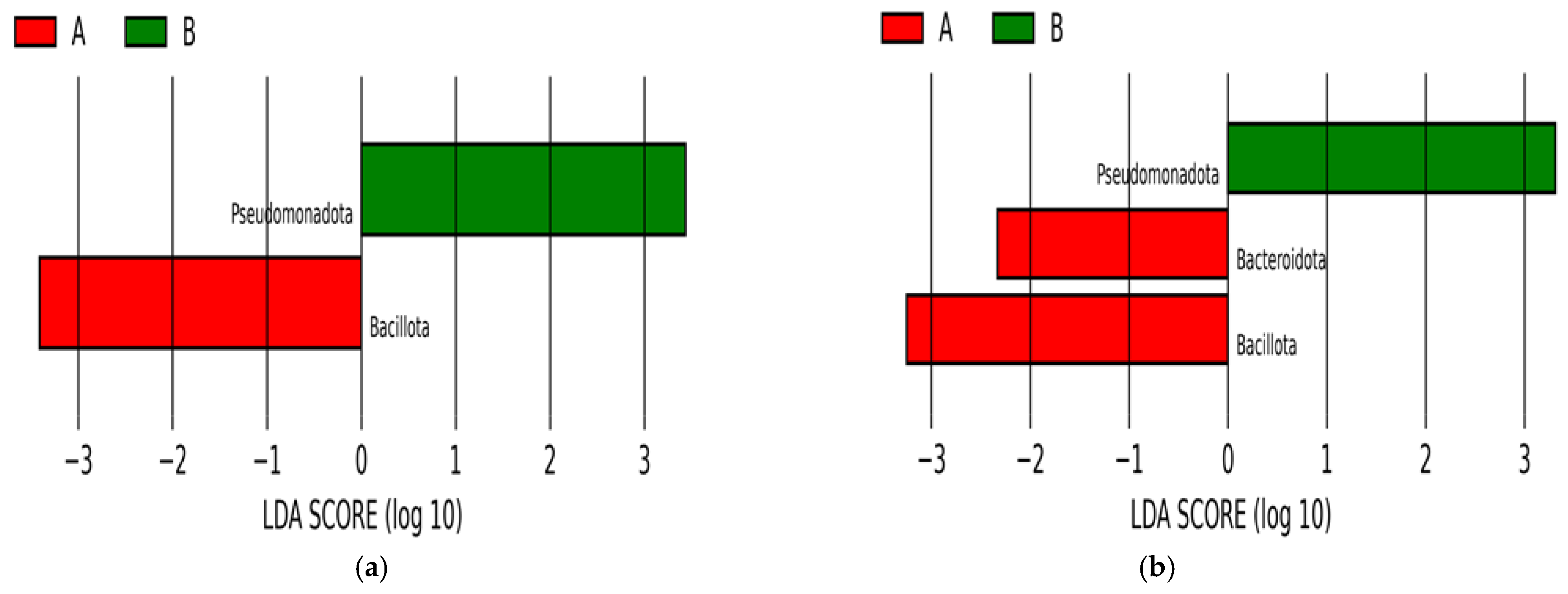 Antibiotics 13 00977 g005