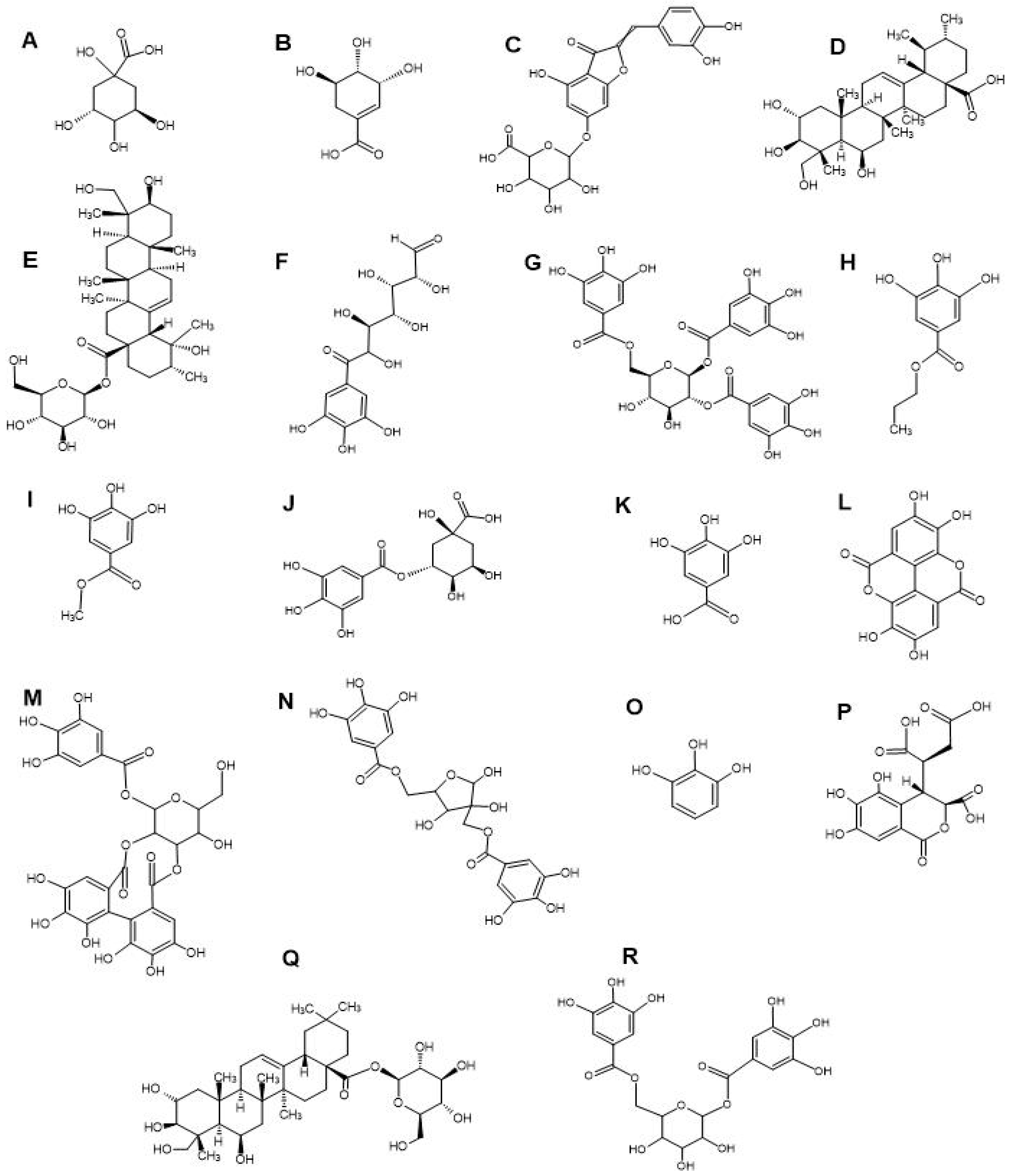 Antibiotics 13 00994 g002