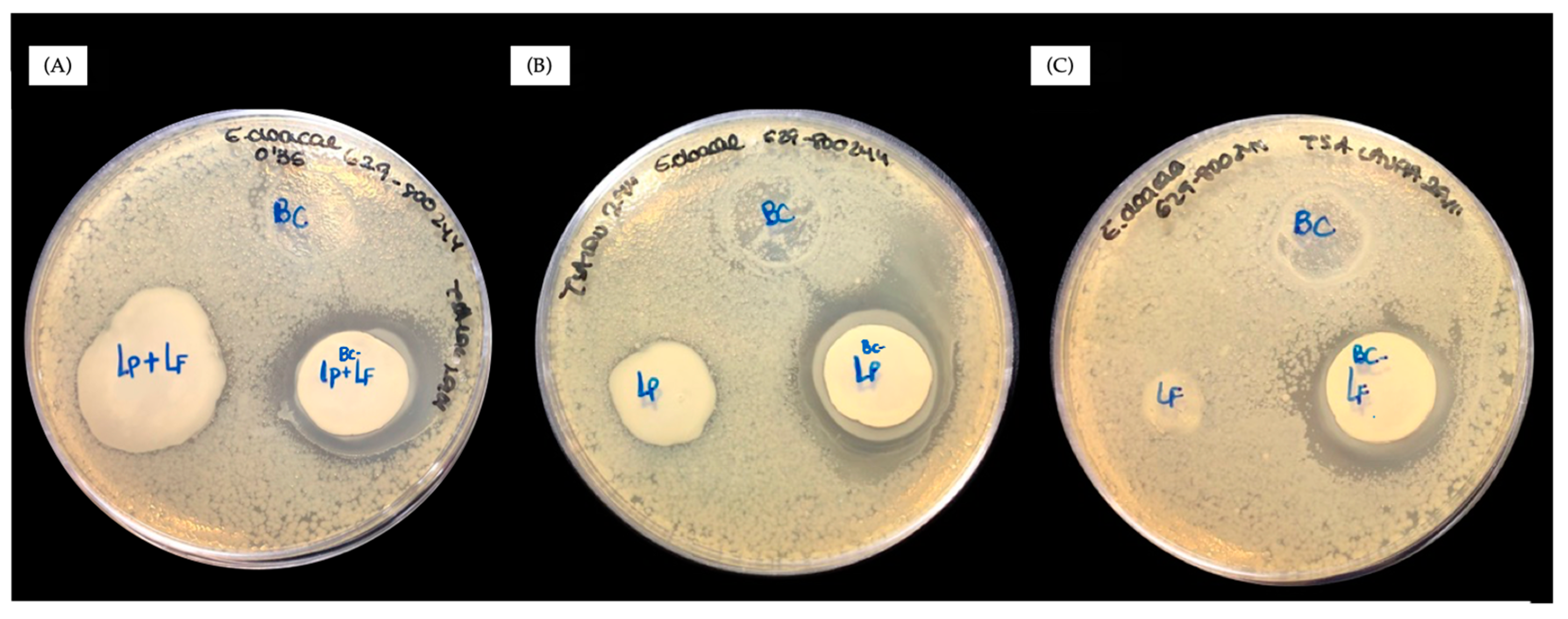 Antibiotics 13 01003 g001